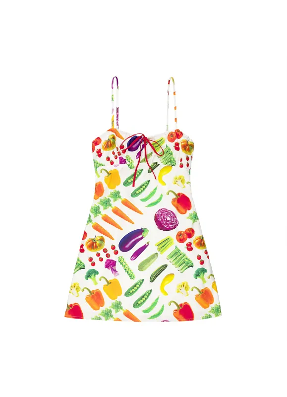 Farmer's Market Mini Dress sold by Tyler McGillivary