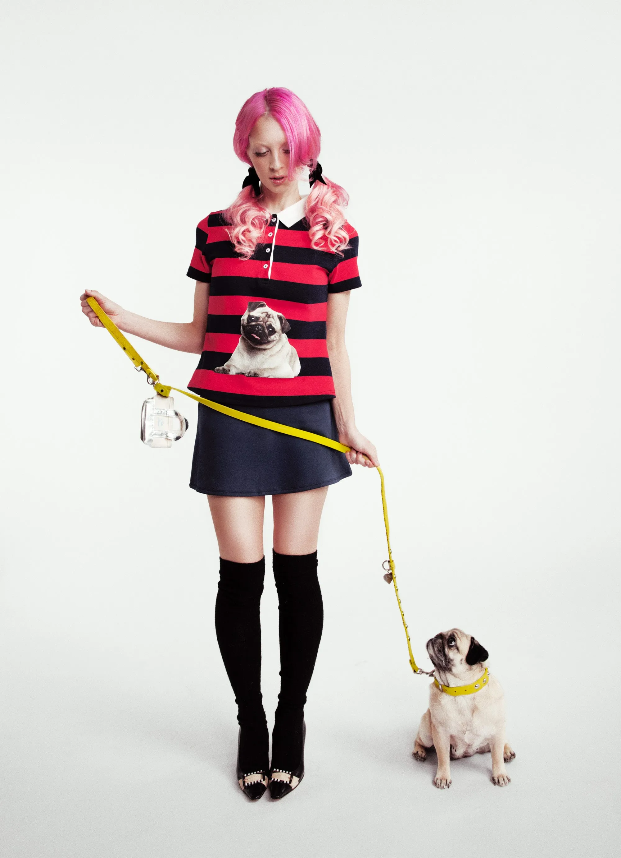 Frankie Polo - Pug sold by Tyler McGillivary product image thumbnail 5