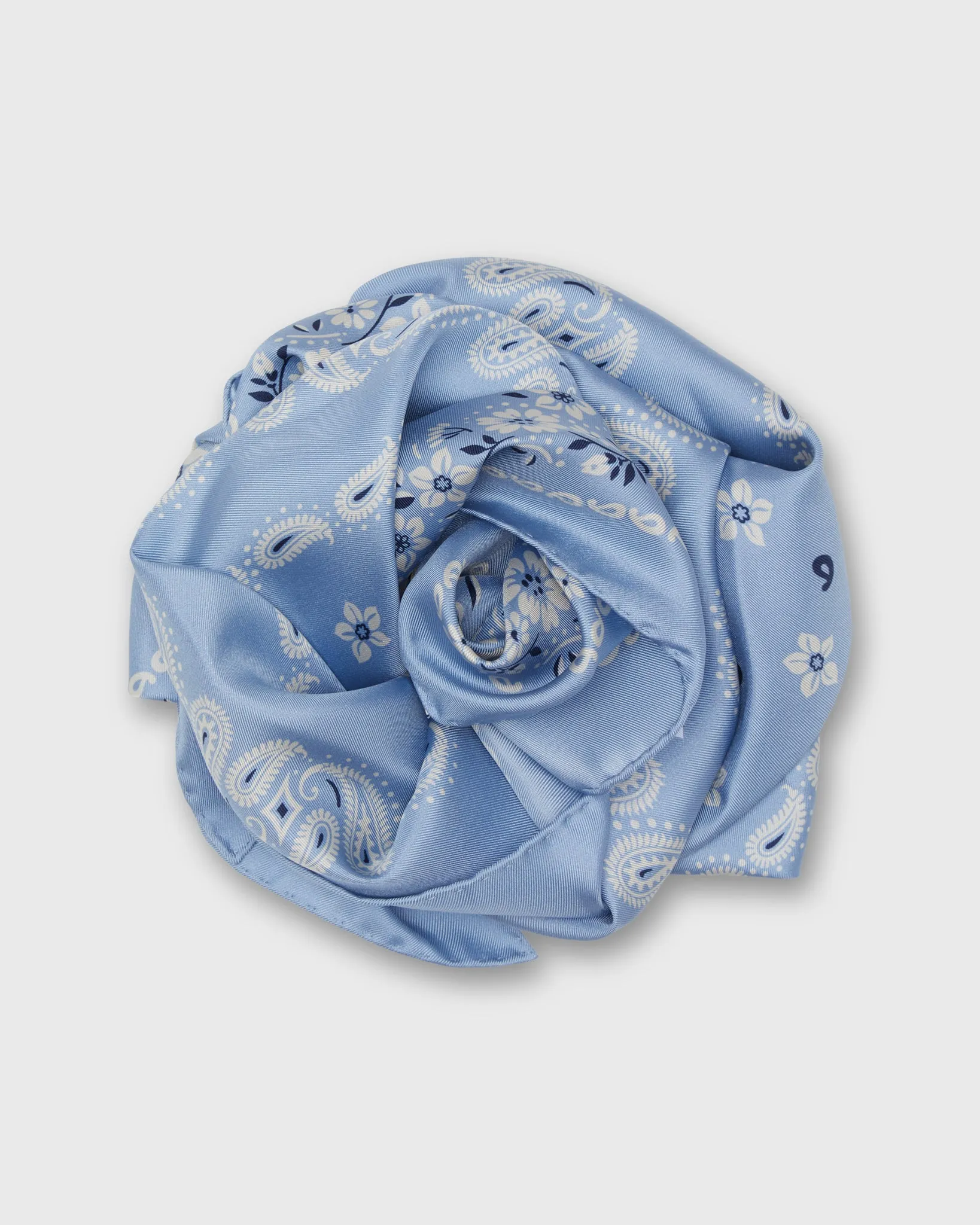 Medium Hand-Rolled Silk Scarf in Light Blue Floral Paisley sold by Mashburn