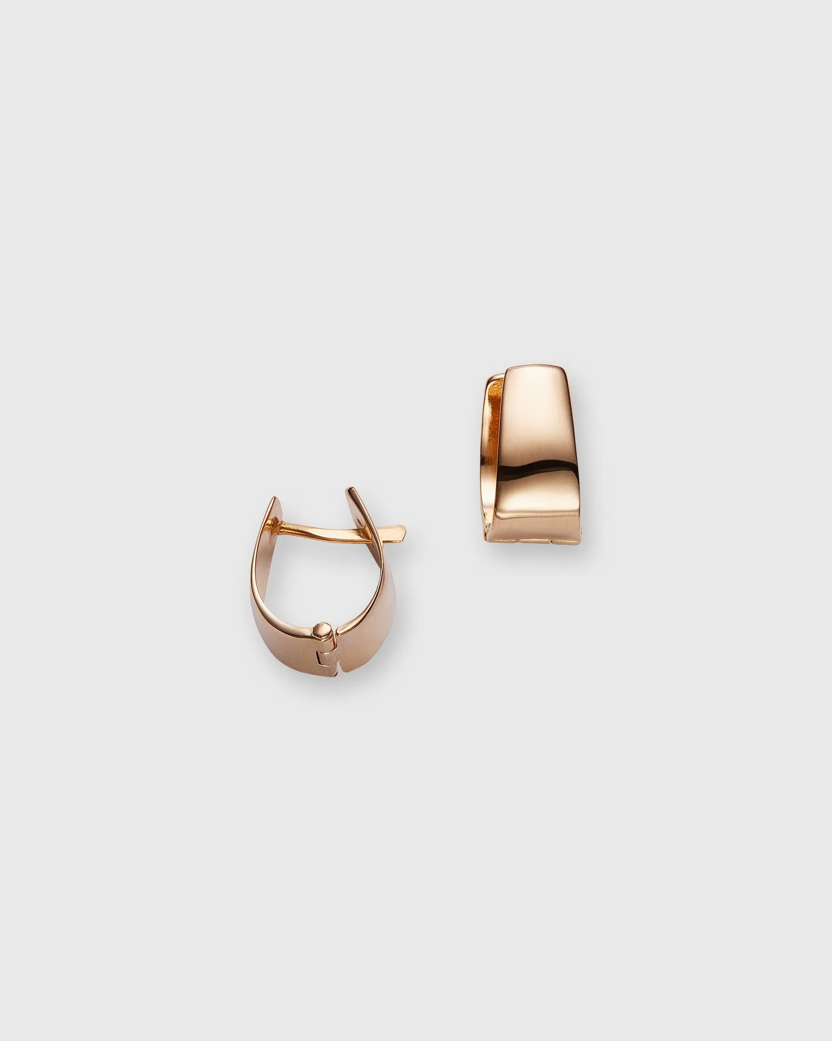 Small Wide Hoop Earrings in Gold sold by Mashburn