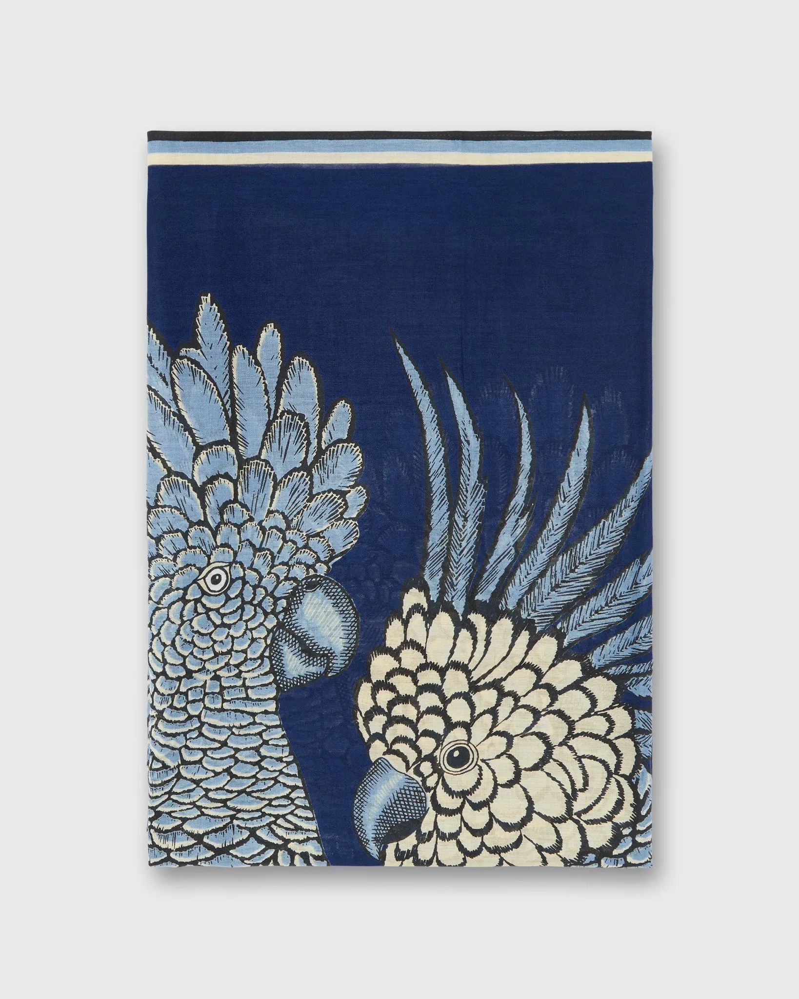 Caracat Scarf in Blue Cotton sold by Mashburn product image thumbnail 2