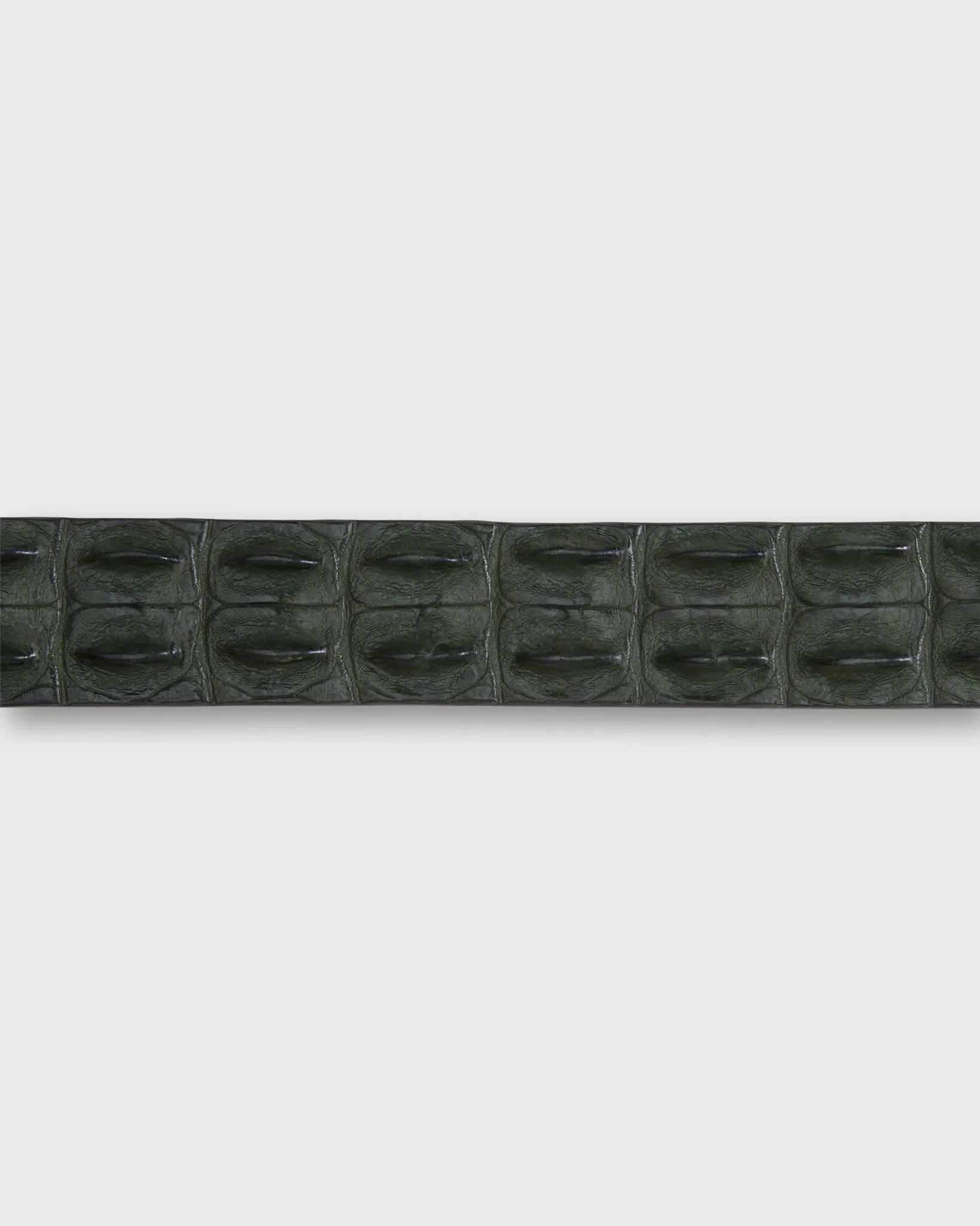 1 3/8" Hornback Crocodile Belt in Dark Olive sold by Mashburn product image thumbnail 2