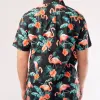 Flamingo Hawaiian Shirt Mingomix Short Sleeve Shirt sold by IslandHaze