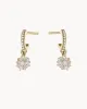 Guadaloupe Mini Round Hoop Earrings | The Gray Box sold by Apodemia