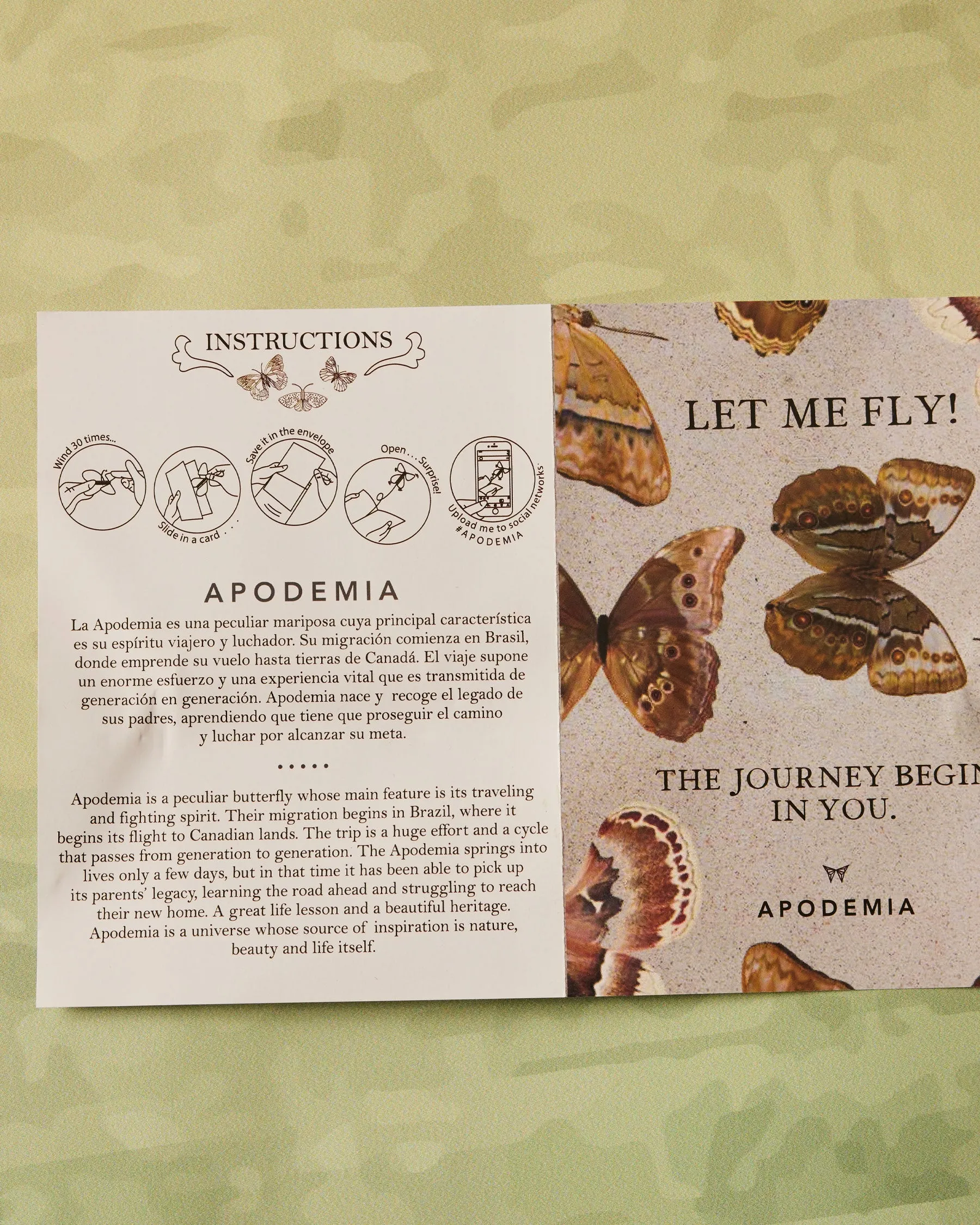 Flying Butterfly Customizable Card sold by Apodemia product image thumbnail 3