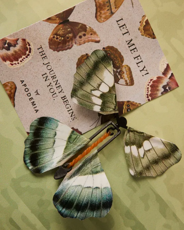 Flying Butterfly Customizable Card sold by Apodemia