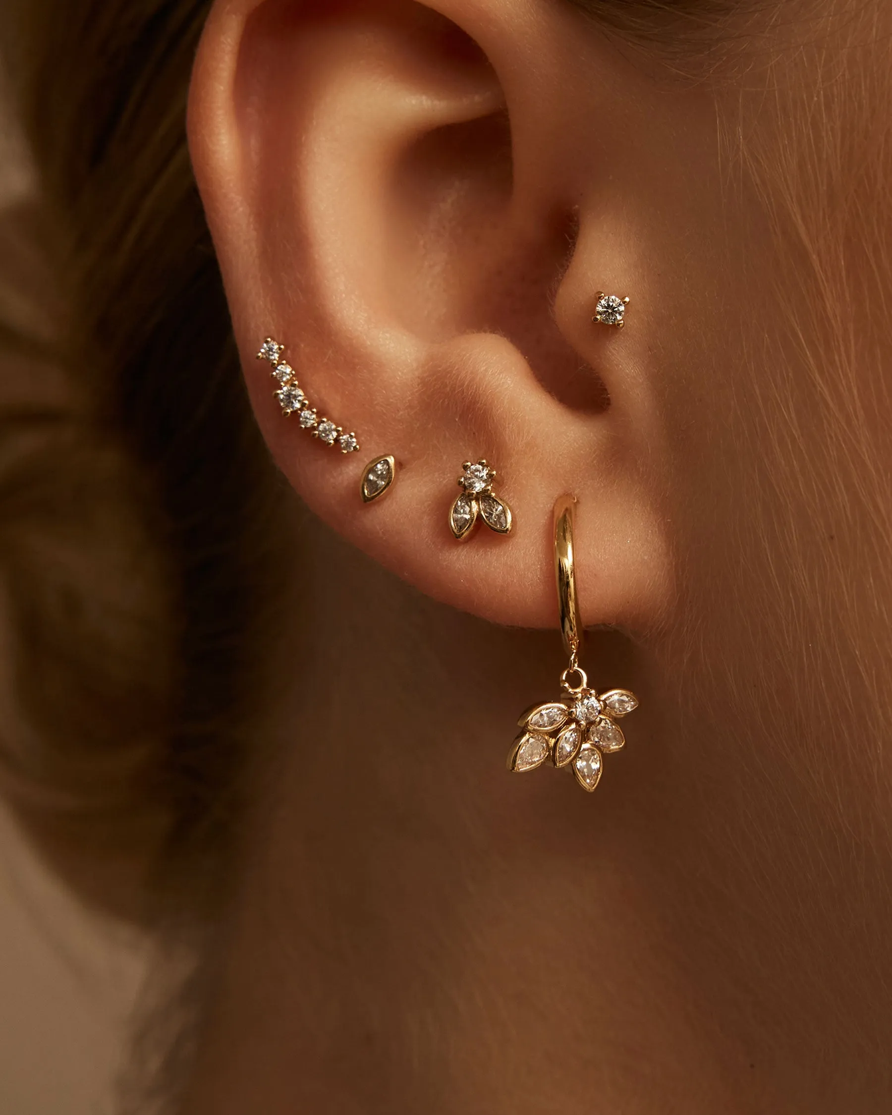 Earrings Xs Succulenta : The Gray Box sold by Apodemia product image thumbnail 2