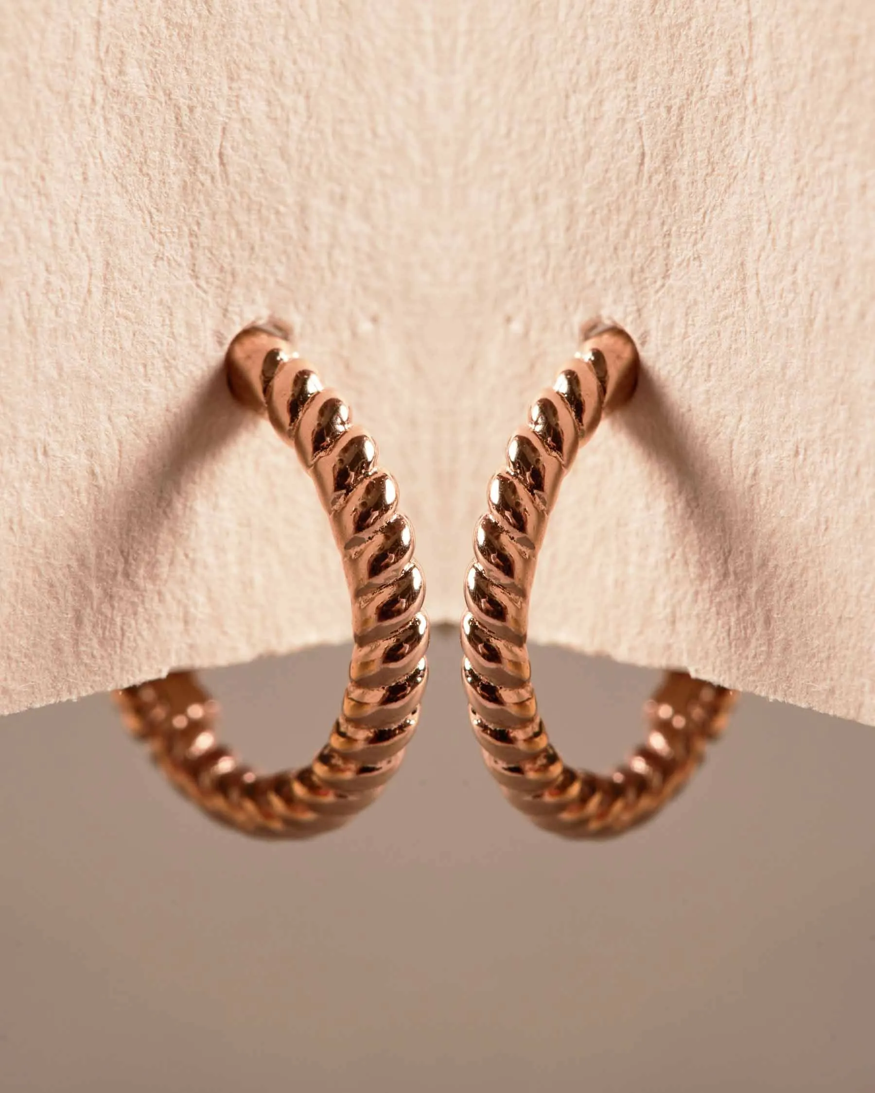 Giro Base Hoop Earrings | The Gray Box sold by Apodemia