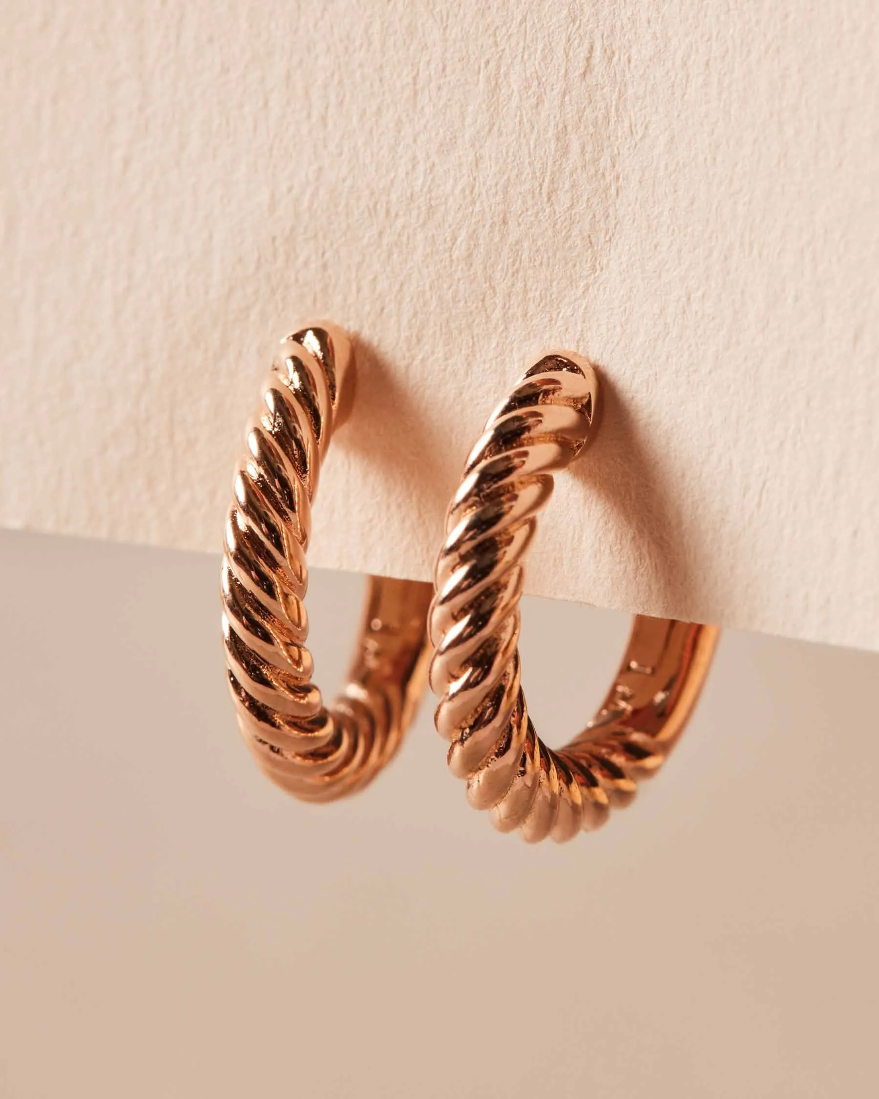 Giro S Hoop Earrings | The Gray Box sold by Apodemia