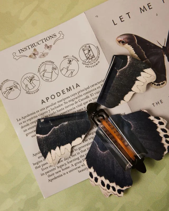 Flying Butterfly Card sold by Apodemia