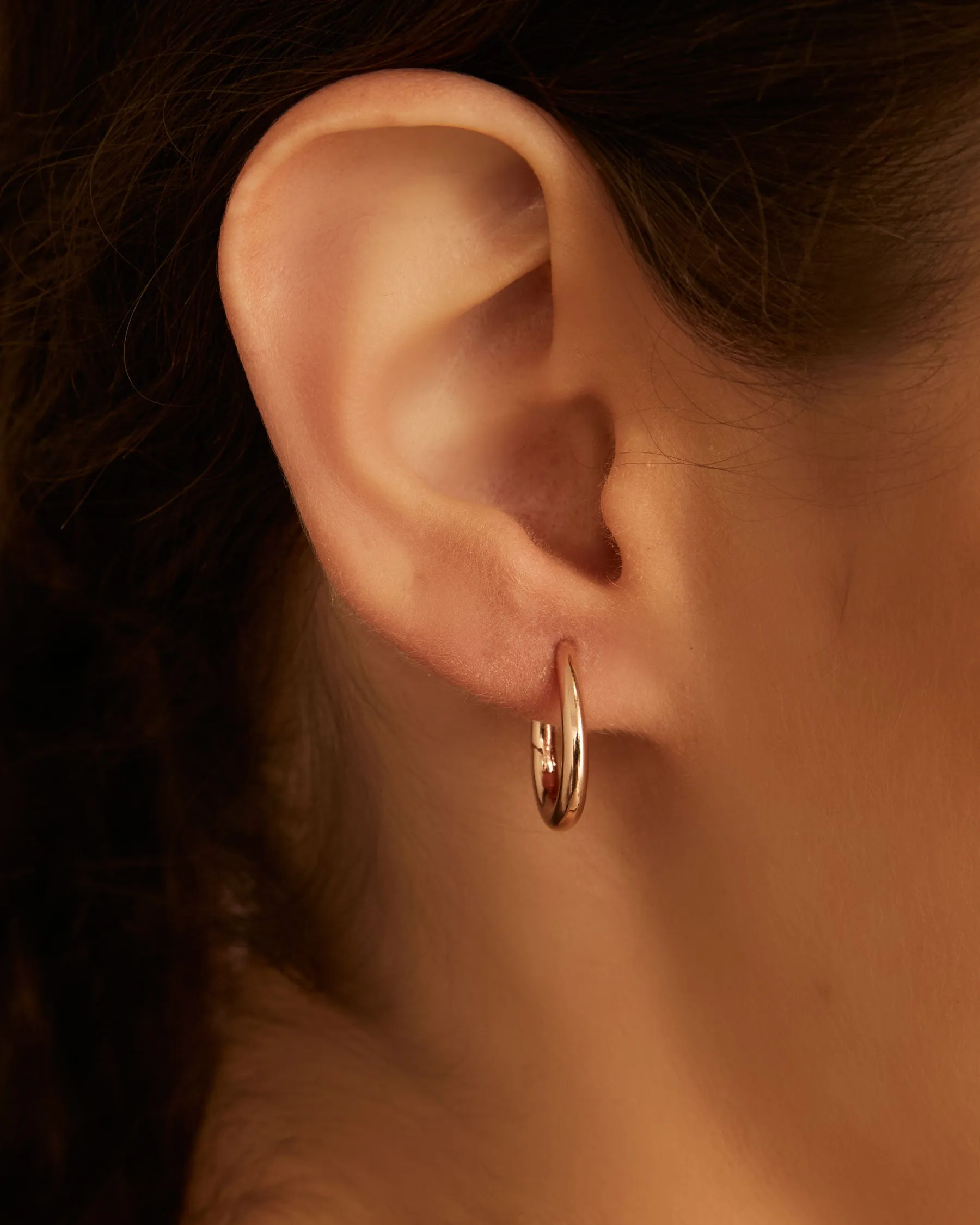 Elongated Hoop Earrings : The Gray Box sold by Apodemia