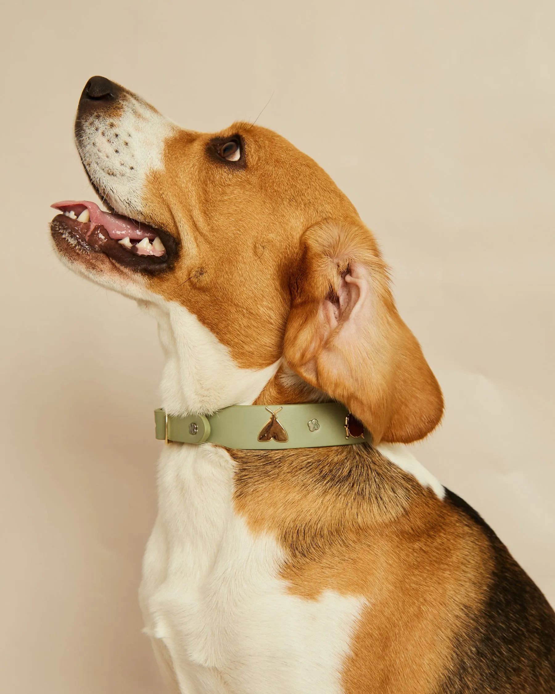 Green Insect Necklace S | M | L | L | The Gray Box sold by Apodemia product image thumbnail 2