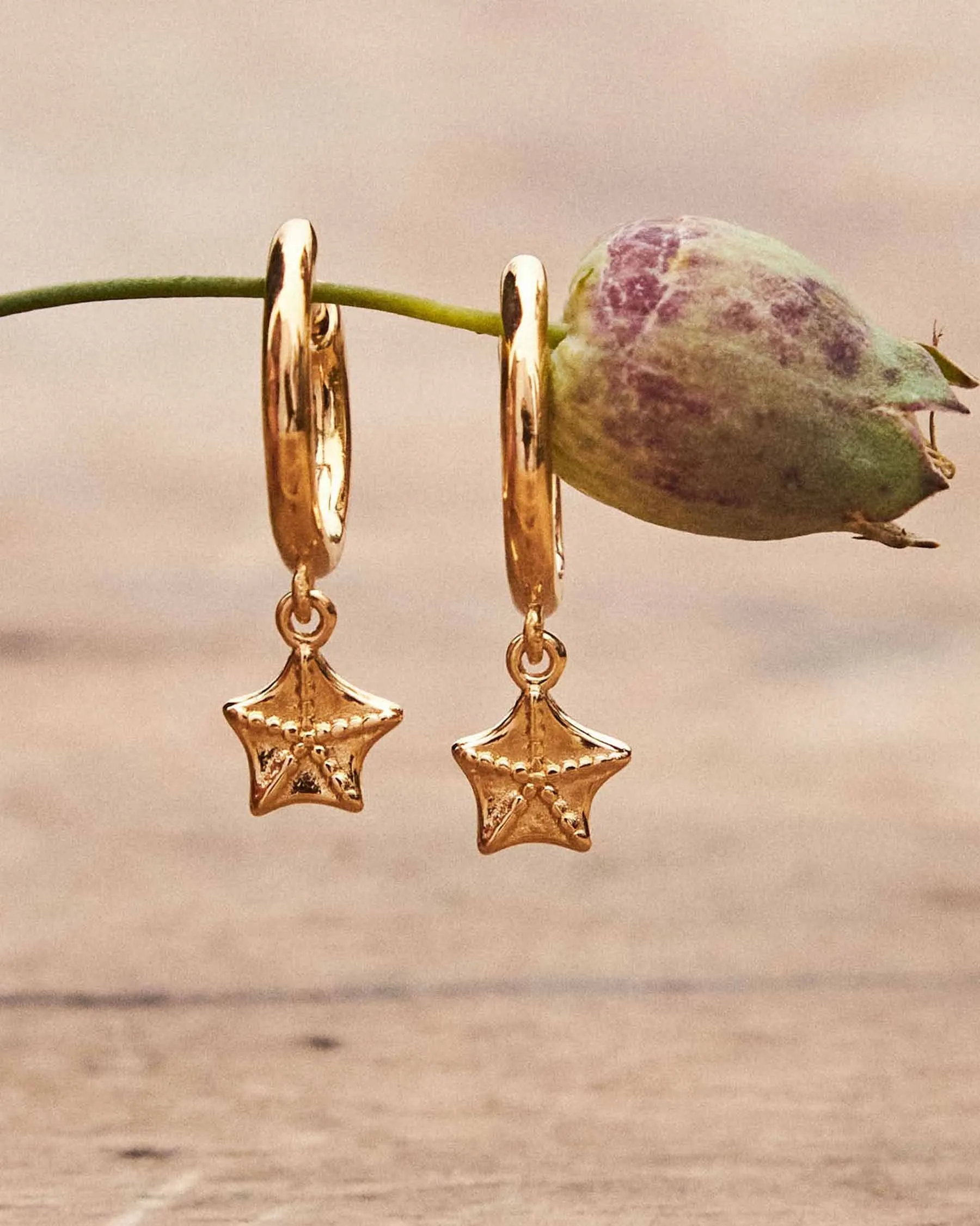 Earrings Aro Sepalo : The Gray Box sold by Apodemia