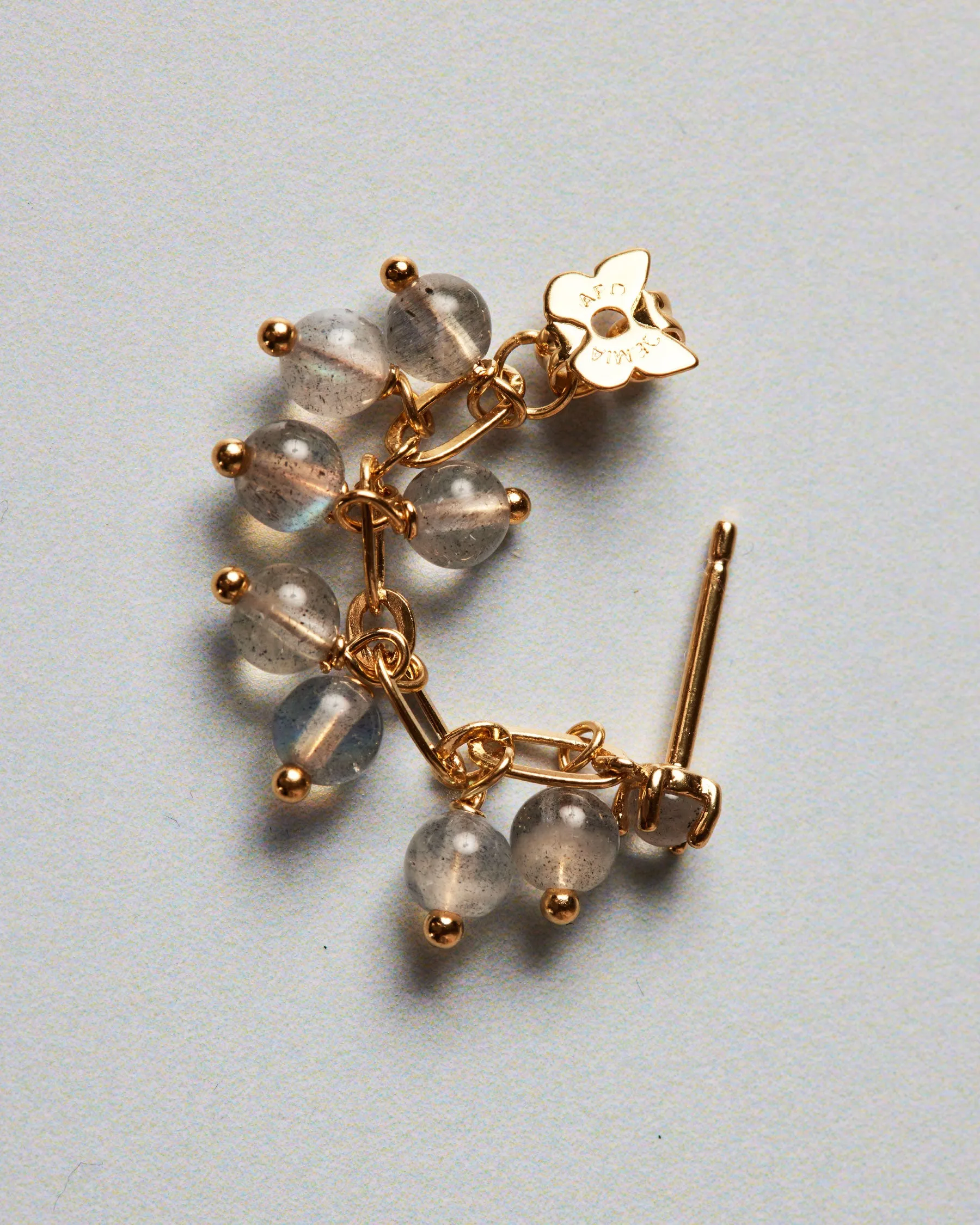 Jellyfish | The Gray Box sold by Apodemia product image thumbnail 4
