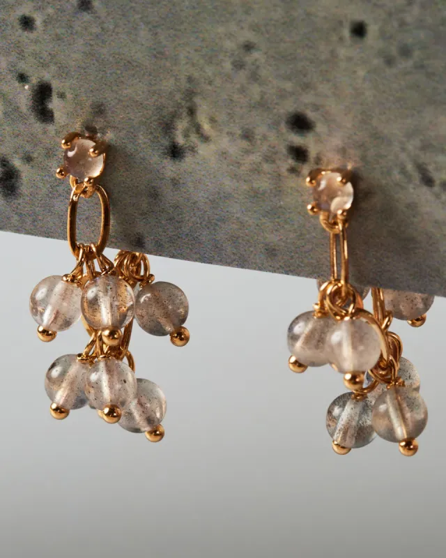 Jellyfish | The Gray Box sold by Apodemia