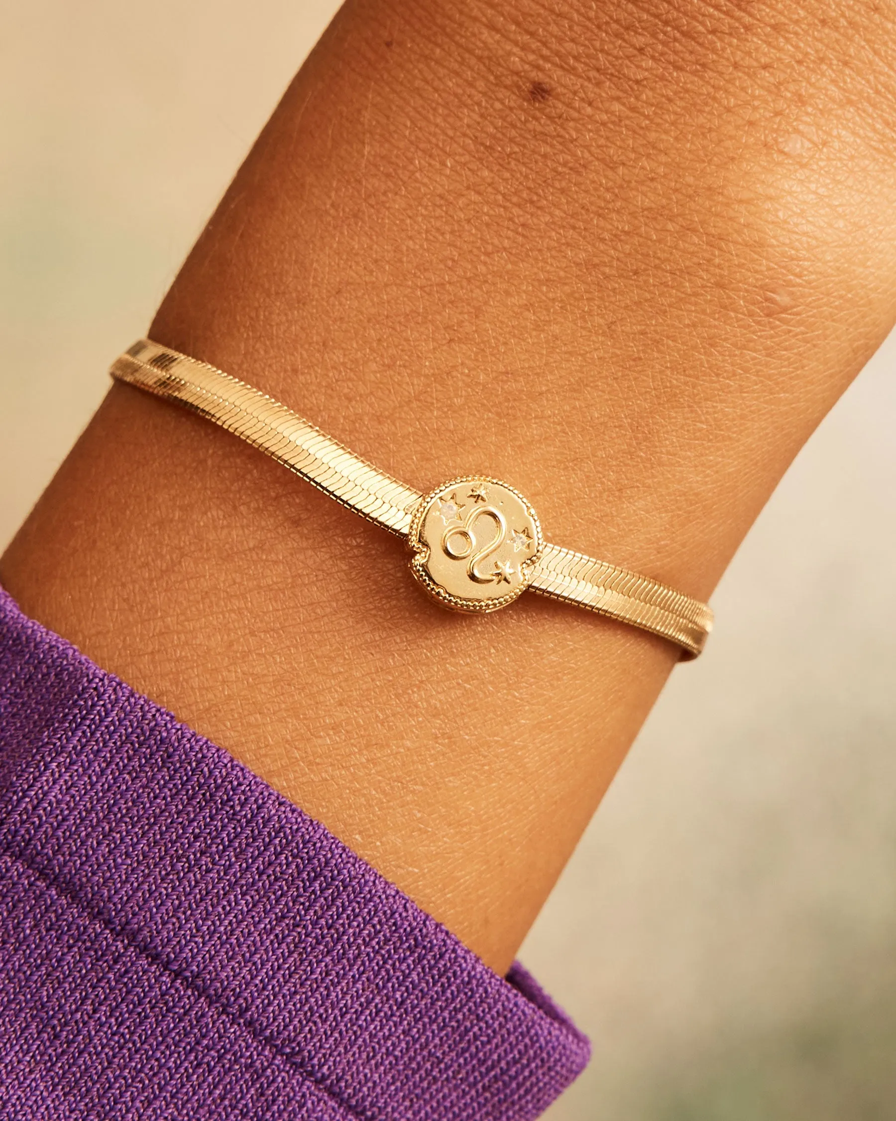 Leo Horoscope Clip Charm | The Gray Box sold by Apodemia product image thumbnail 2