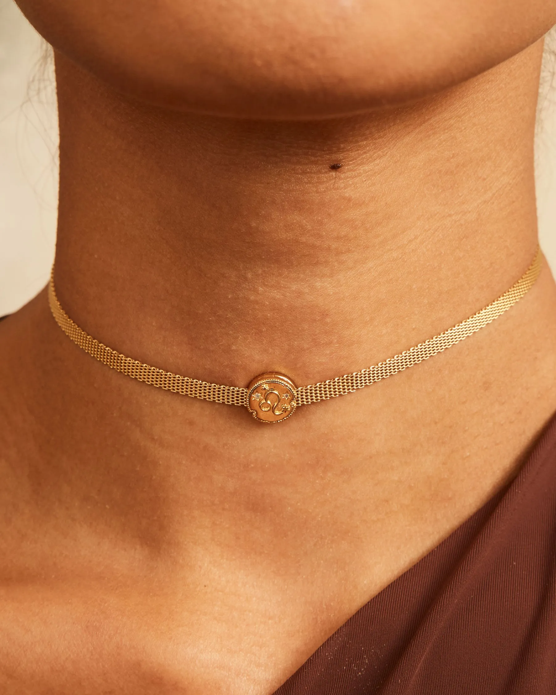 Leo Horoscope Clip Charm | The Gray Box sold by Apodemia product image thumbnail 4