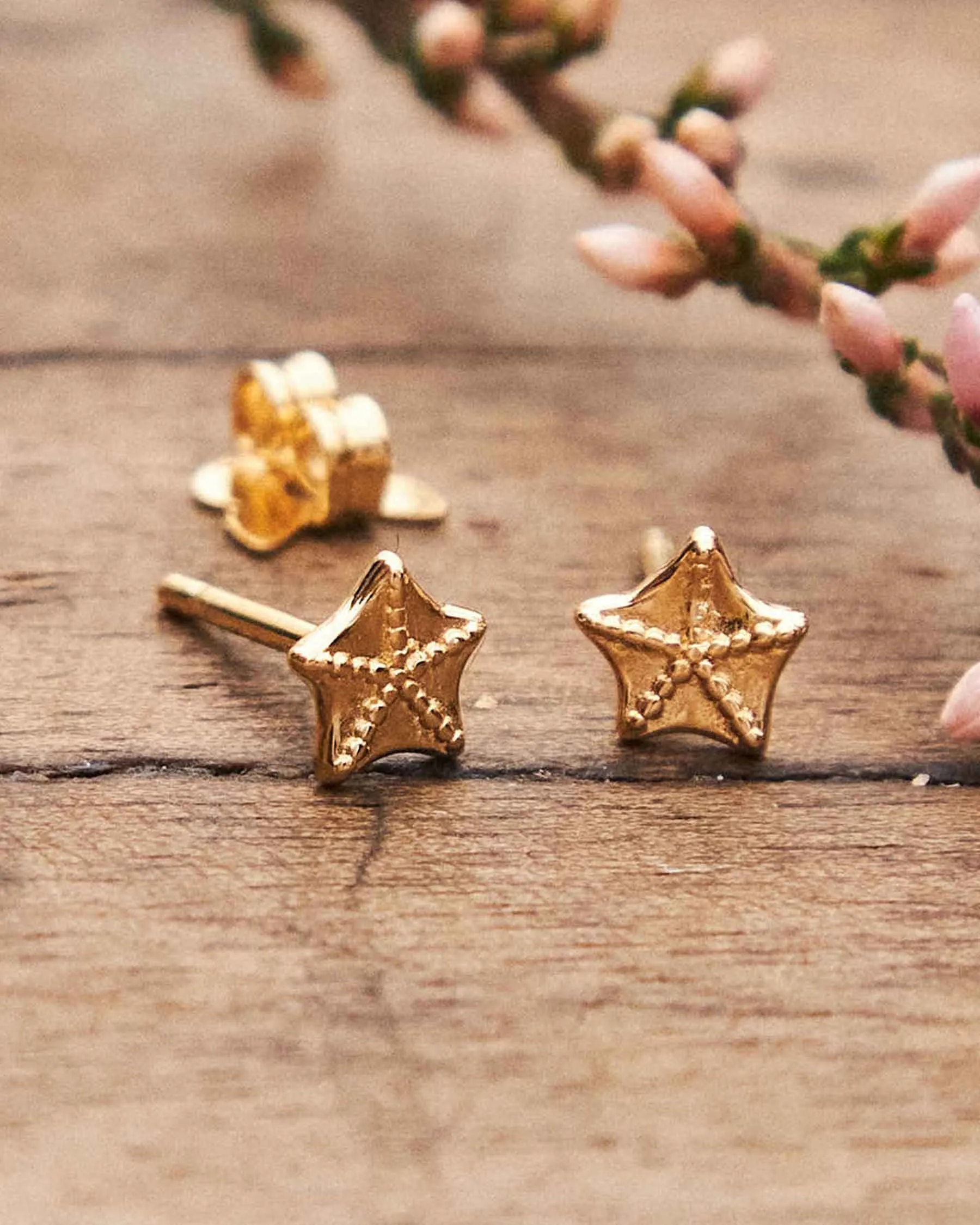 Sepalo mini earrings : The Gray Box sold by Apodemia