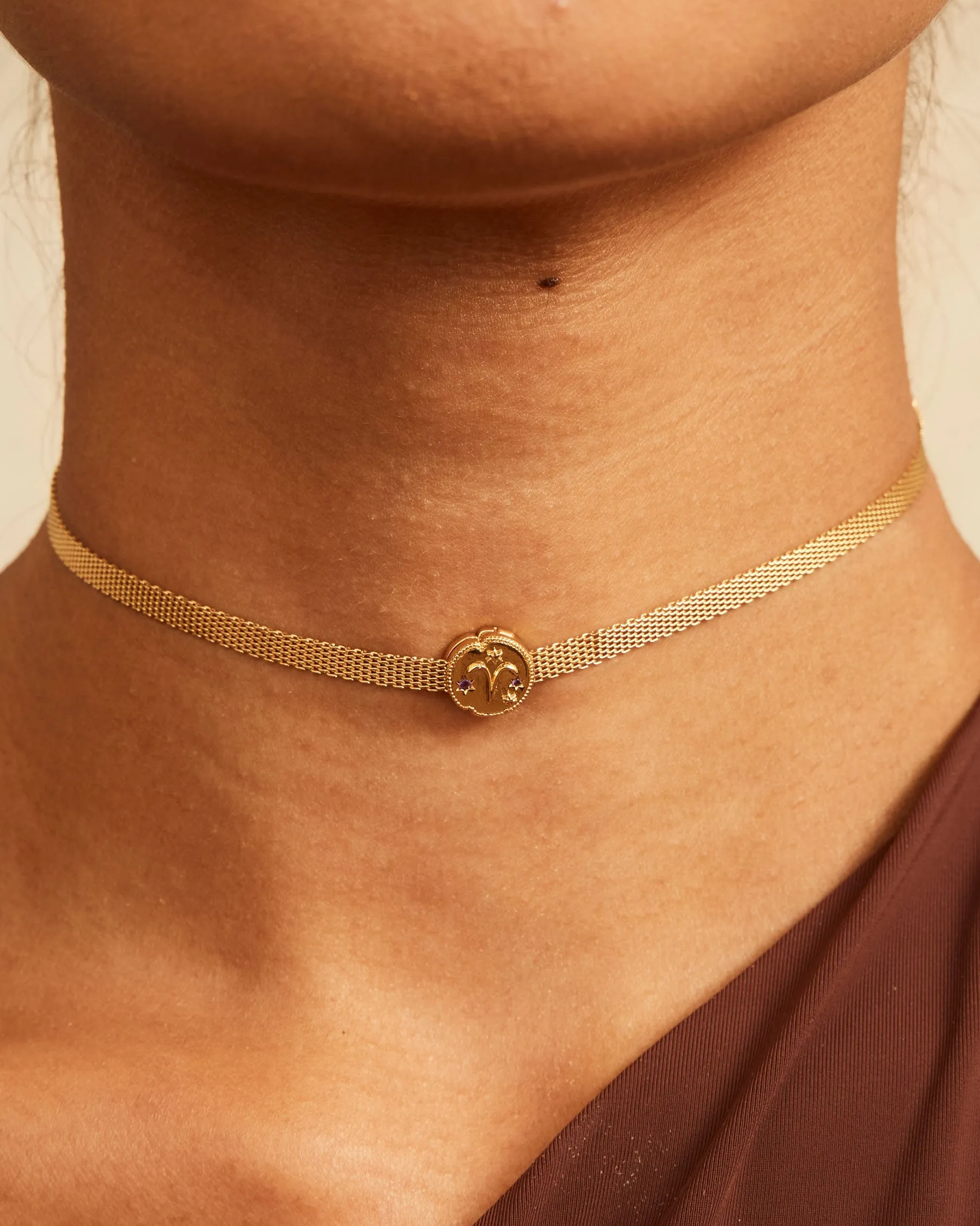 Aries Horoscope Clip Charm | The Gray Box sold by Apodemia product image thumbnail 3