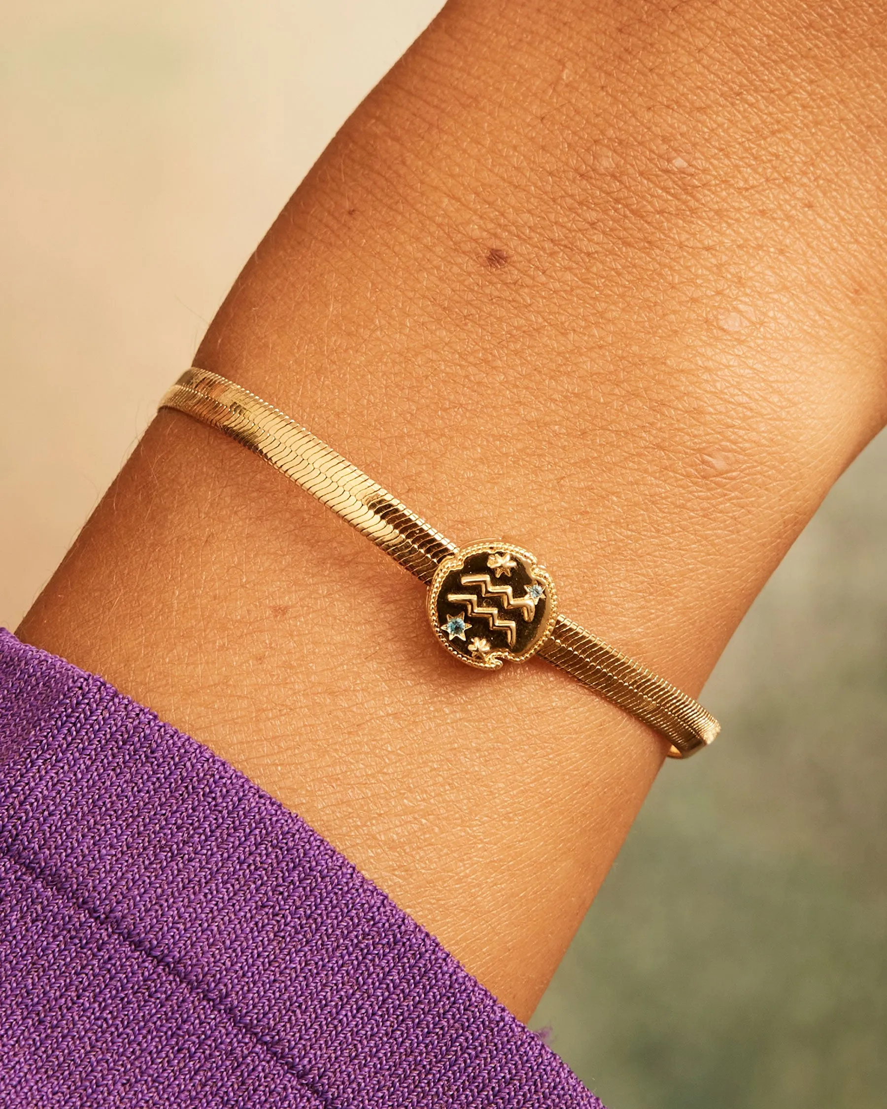 Aquarius Horoscope Clip Charm | The Gray Box sold by Apodemia product image thumbnail 2