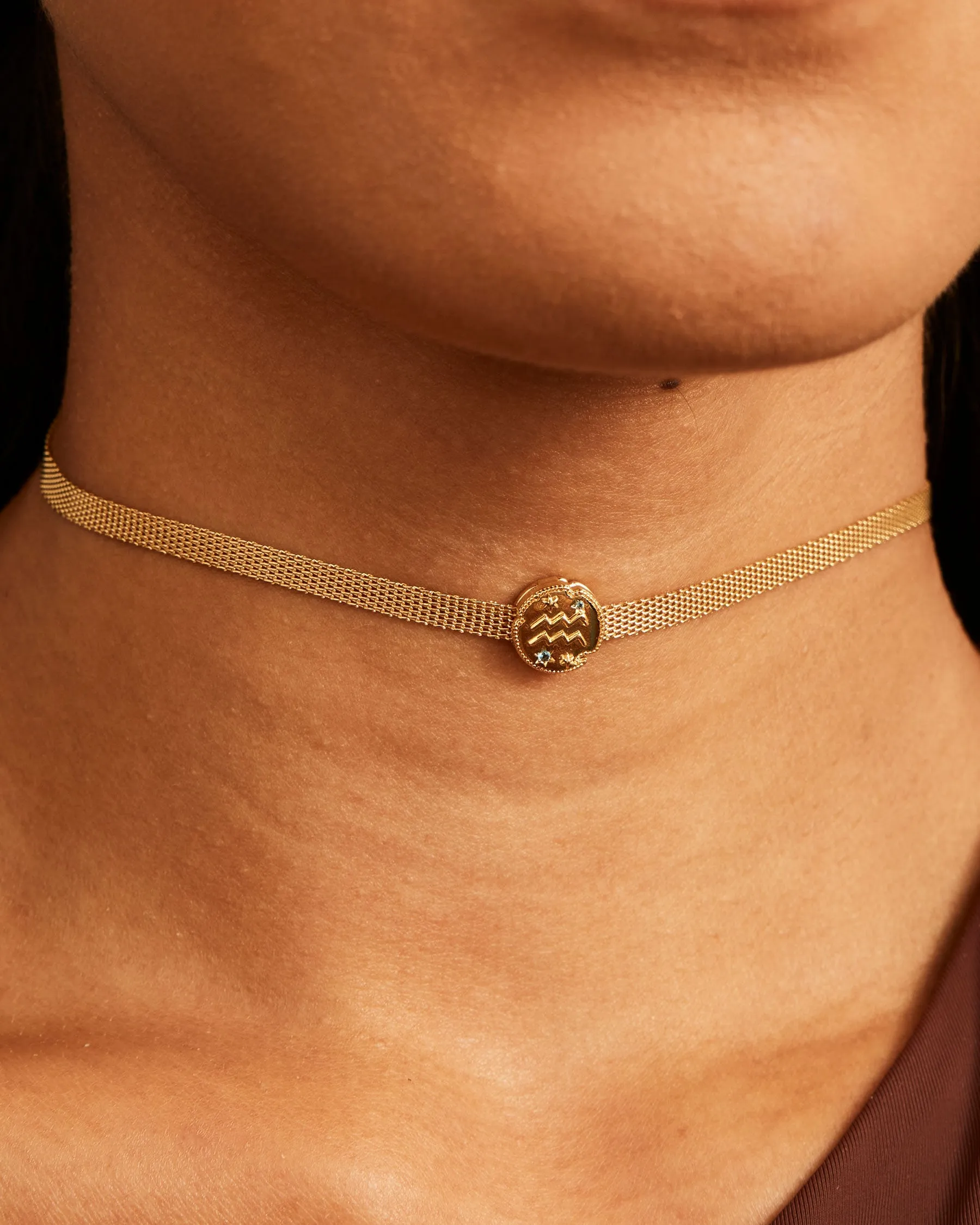 Aquarius Horoscope Clip Charm | The Gray Box sold by Apodemia product image thumbnail 4