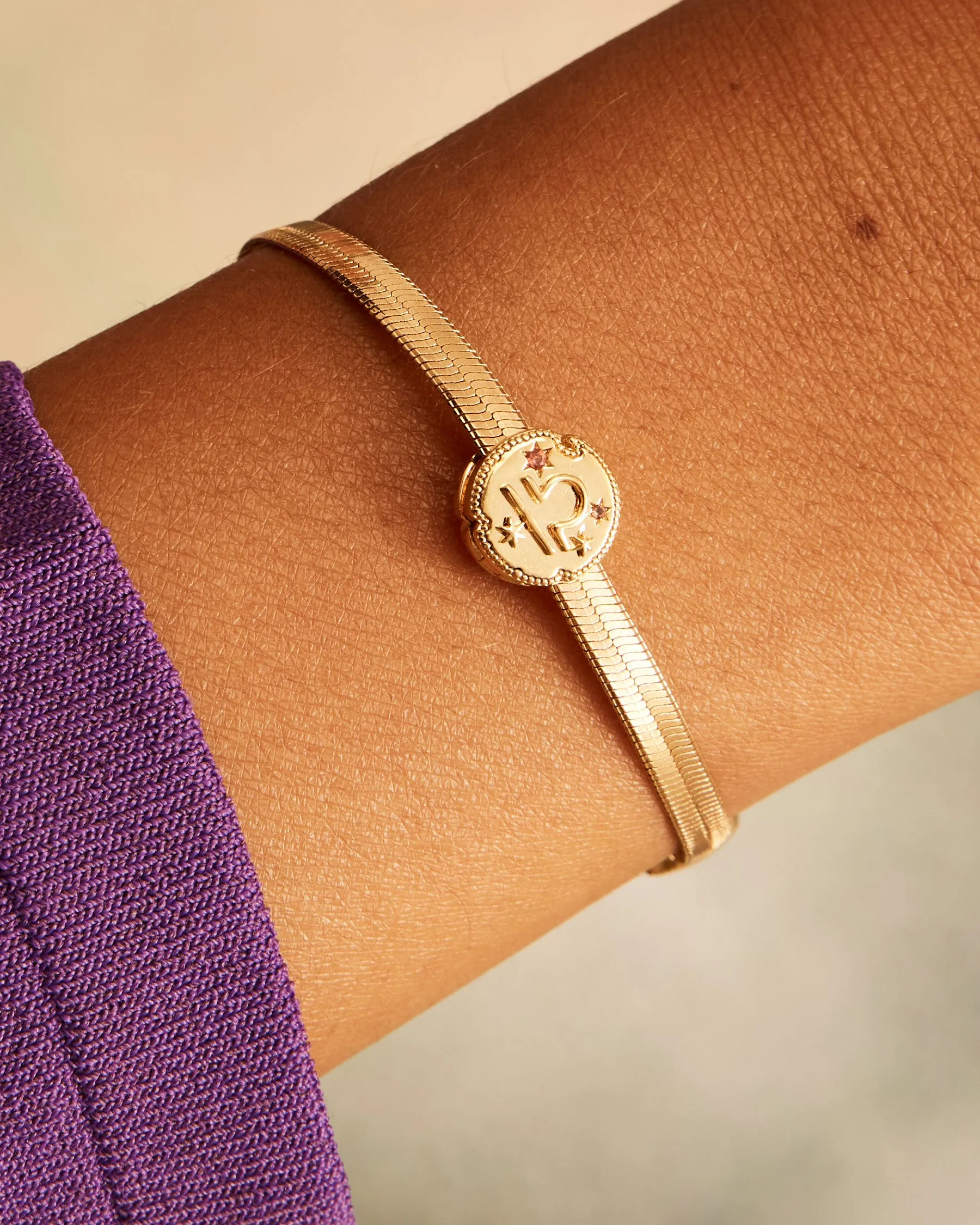 Libra Horoscope Clip Charm | The Gray Box sold by Apodemia product image thumbnail 2