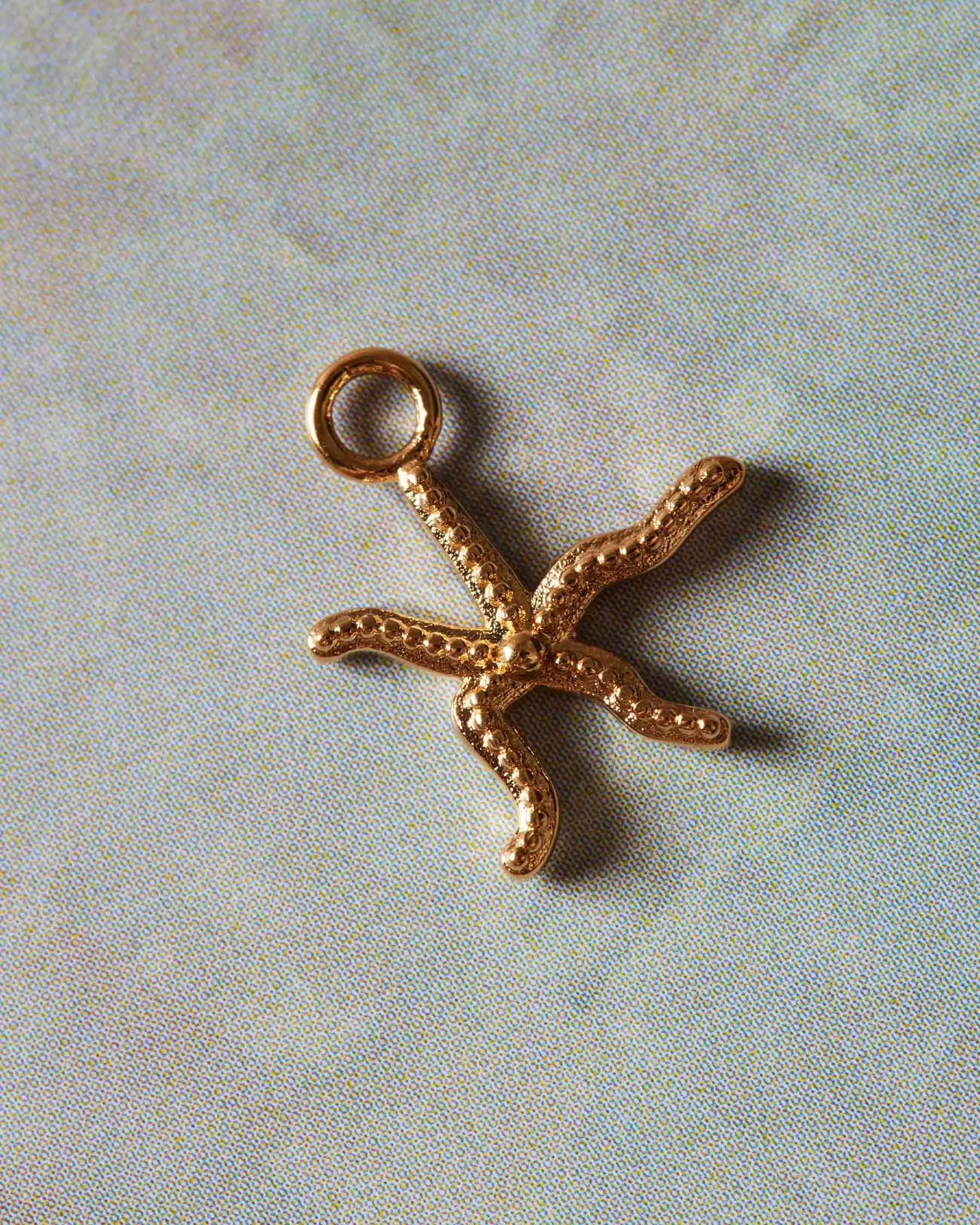 Charm Sea Creatures Metrodira sold by Apodemia