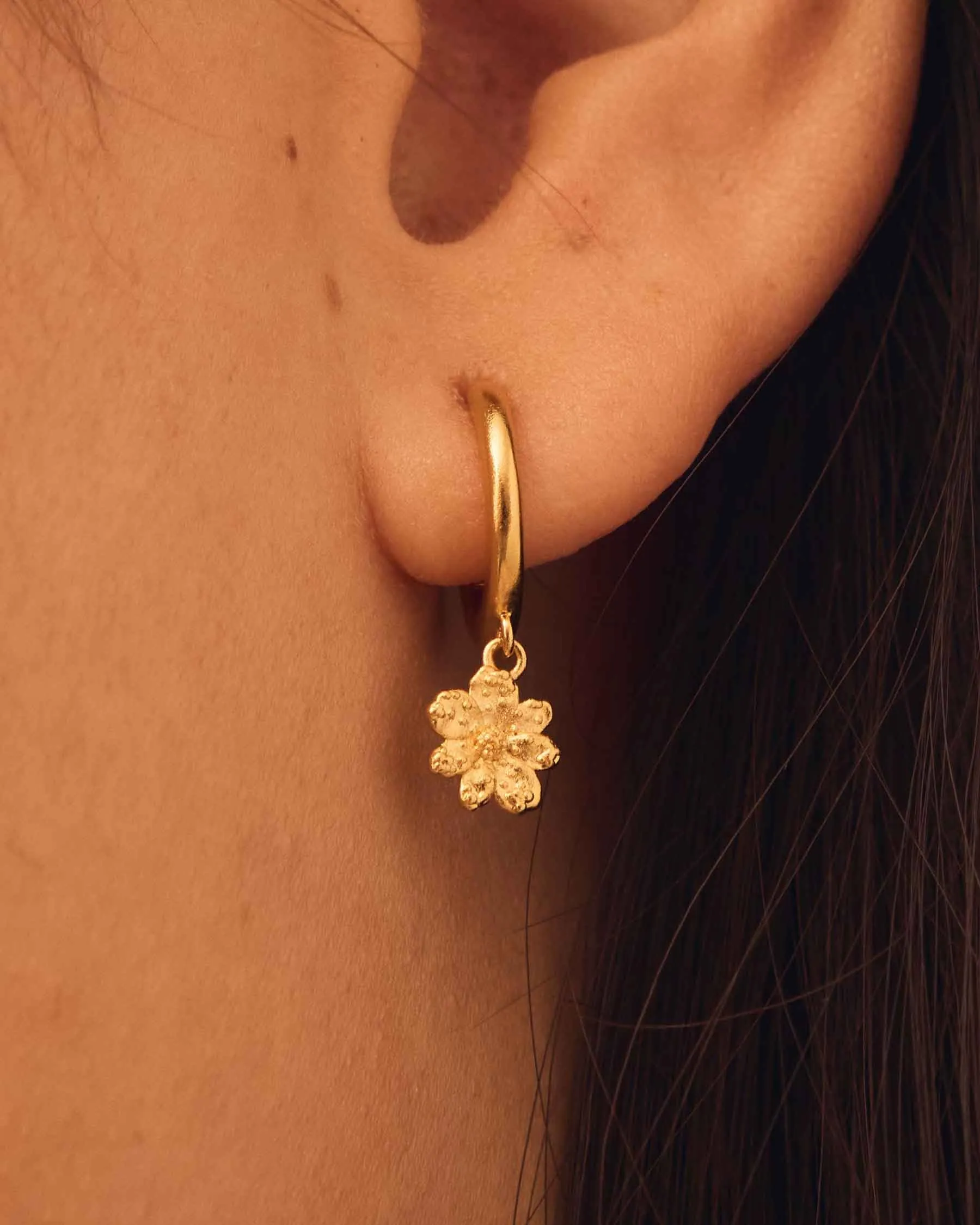 Zinia Hoop Earrings sold by Apodemia product image thumbnail 4