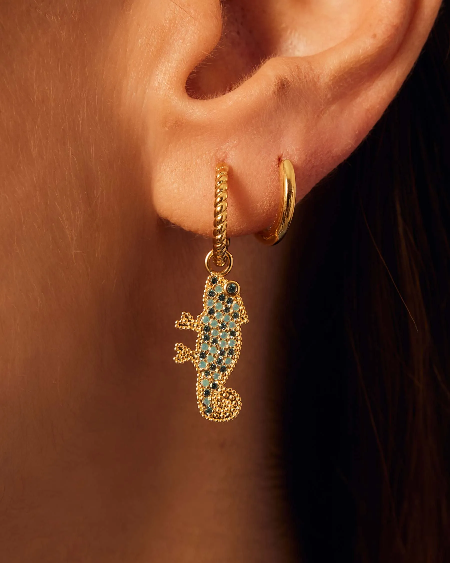 Charm Camaleon sold by Apodemia product image thumbnail 4