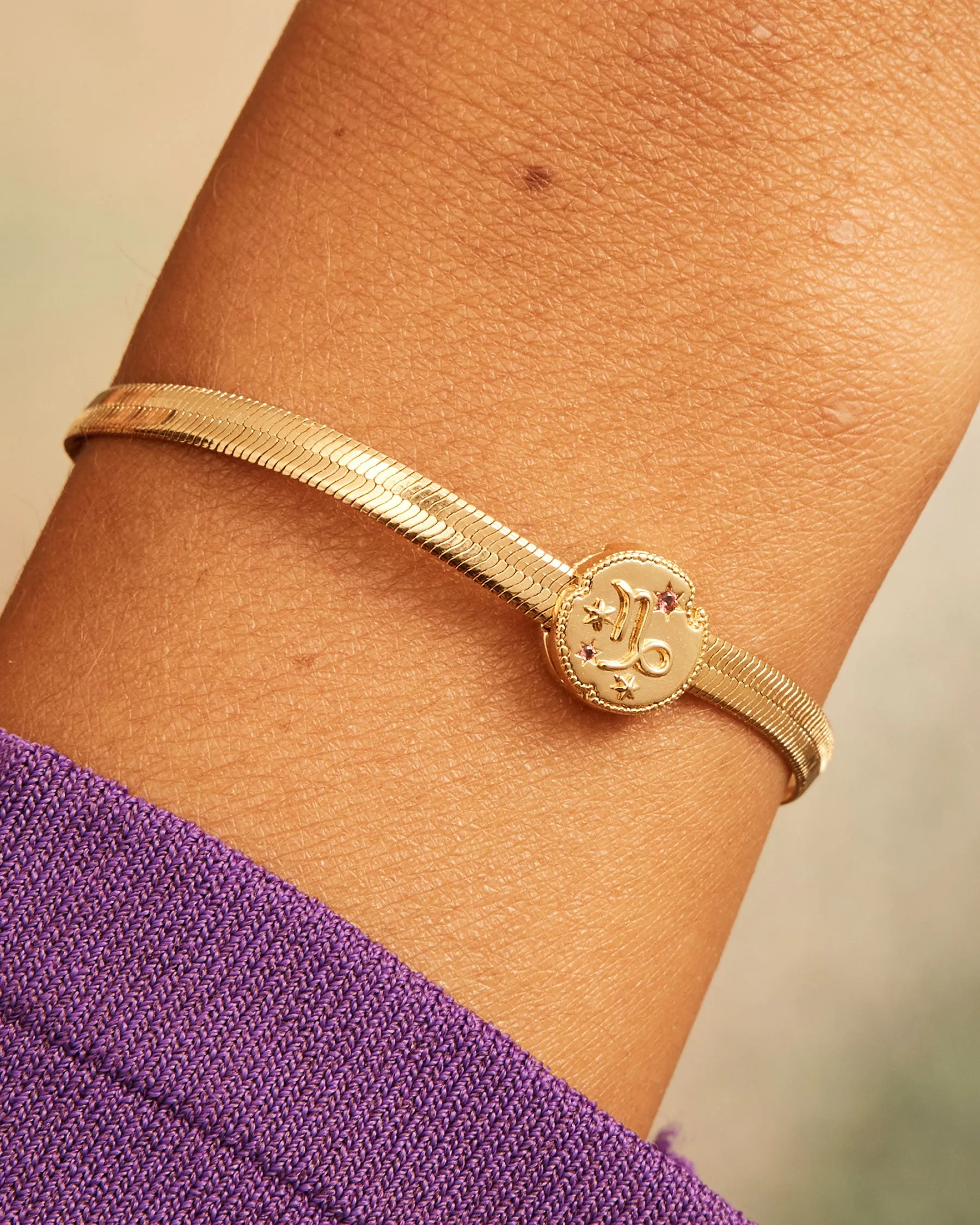 Capricorn Horoscope Clip Charm | The Gray Box sold by Apodemia product image thumbnail 2