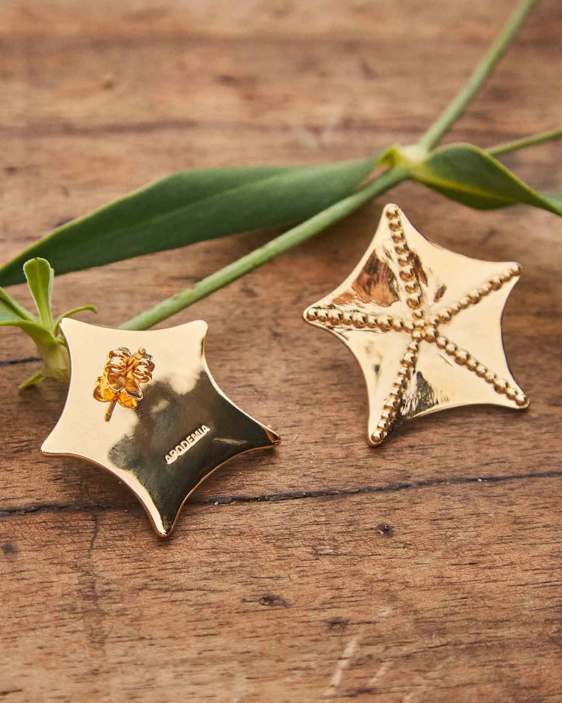 Large Earrings Sepalo | The Gray Box sold by Apodemia product image thumbnail 3