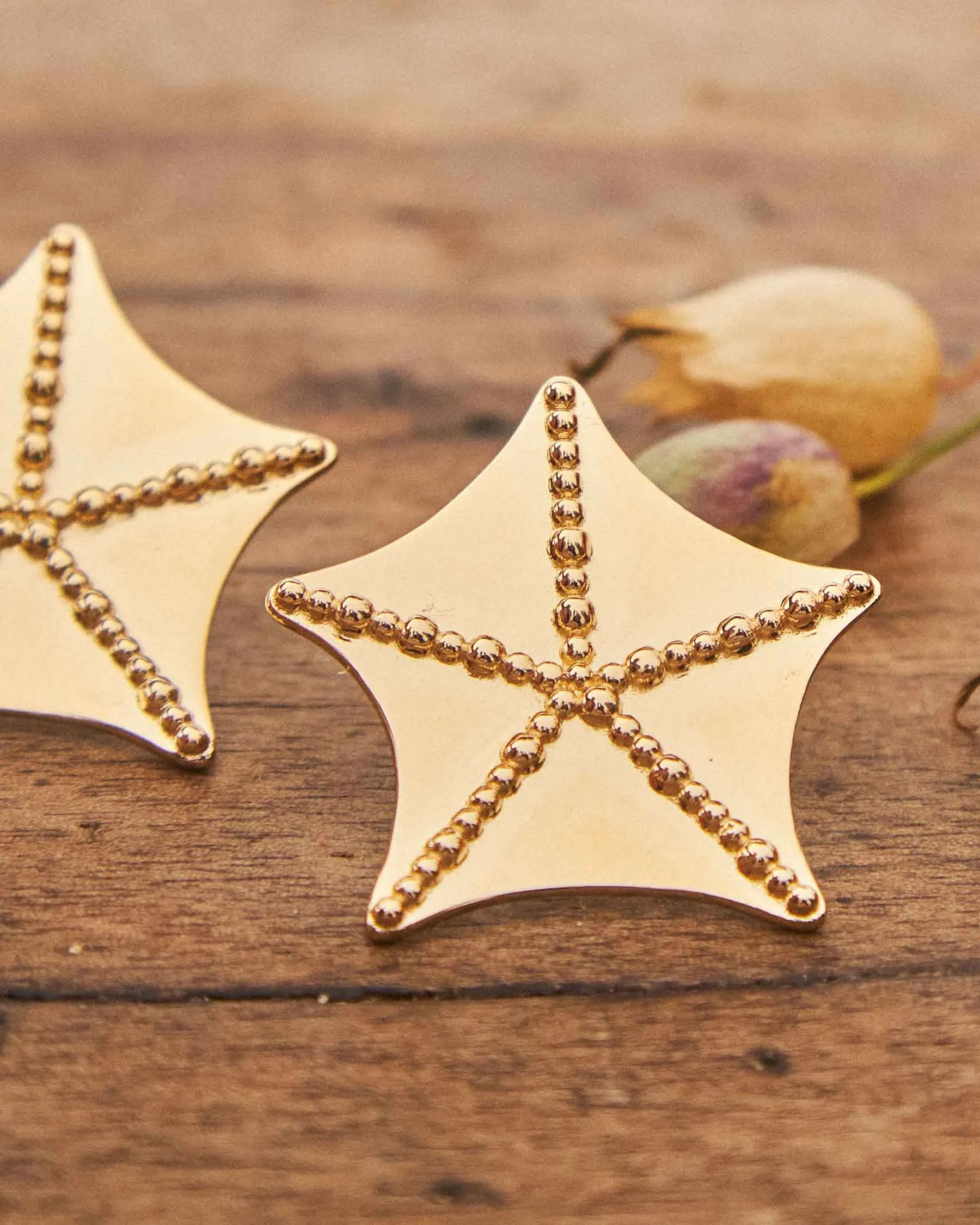 Large Earrings Sepalo | The Gray Box sold by Apodemia