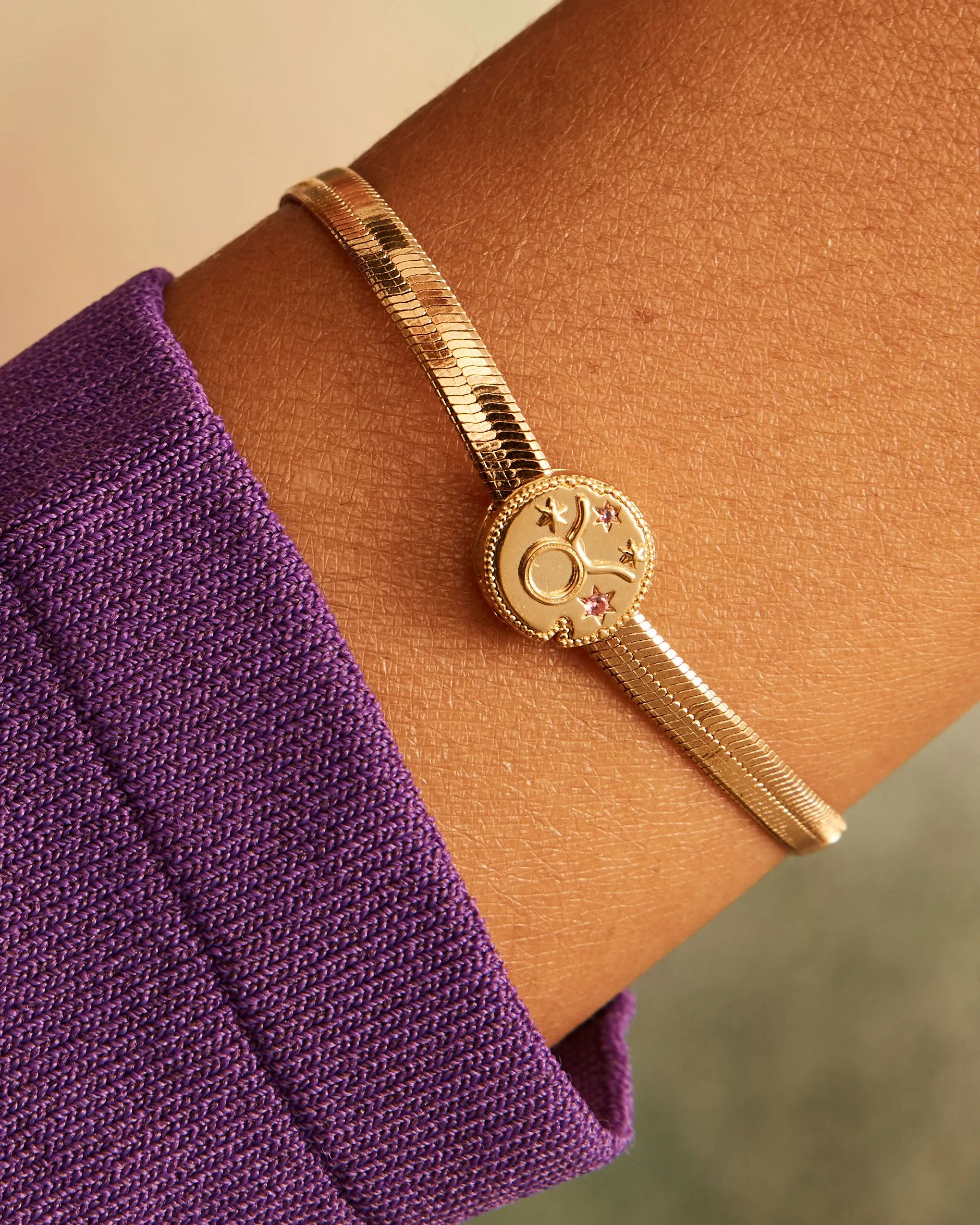 Taurus Horoscope Clip Charm | The Gray Box sold by Apodemia product image thumbnail 2