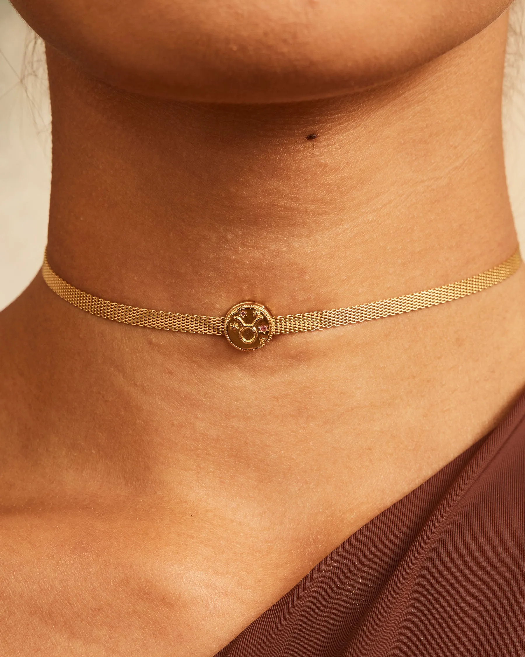 Taurus Horoscope Clip Charm | The Gray Box sold by Apodemia product image thumbnail 5