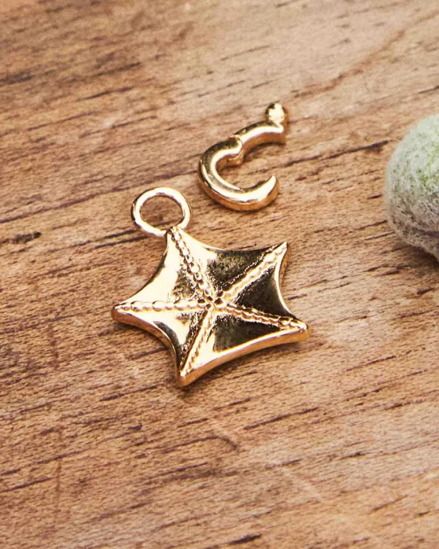 Charm Sepalo | The Gray Box sold by Apodemia