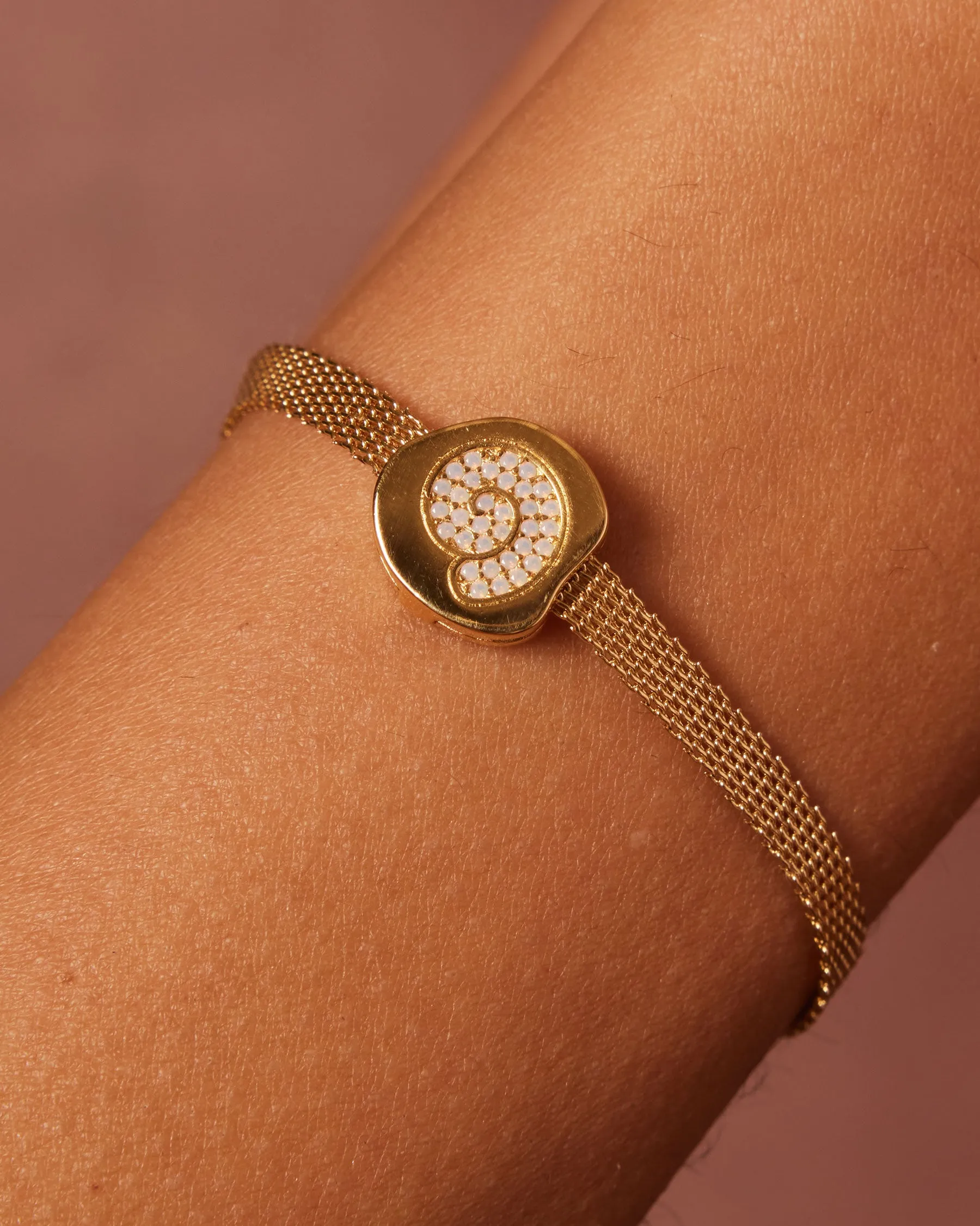 Fossil Shell Clip Charm sold by Apodemia product image thumbnail 5