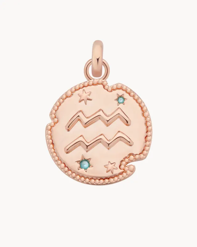 Aquarius Horoscope Charm | The Gray Box sold by Apodemia