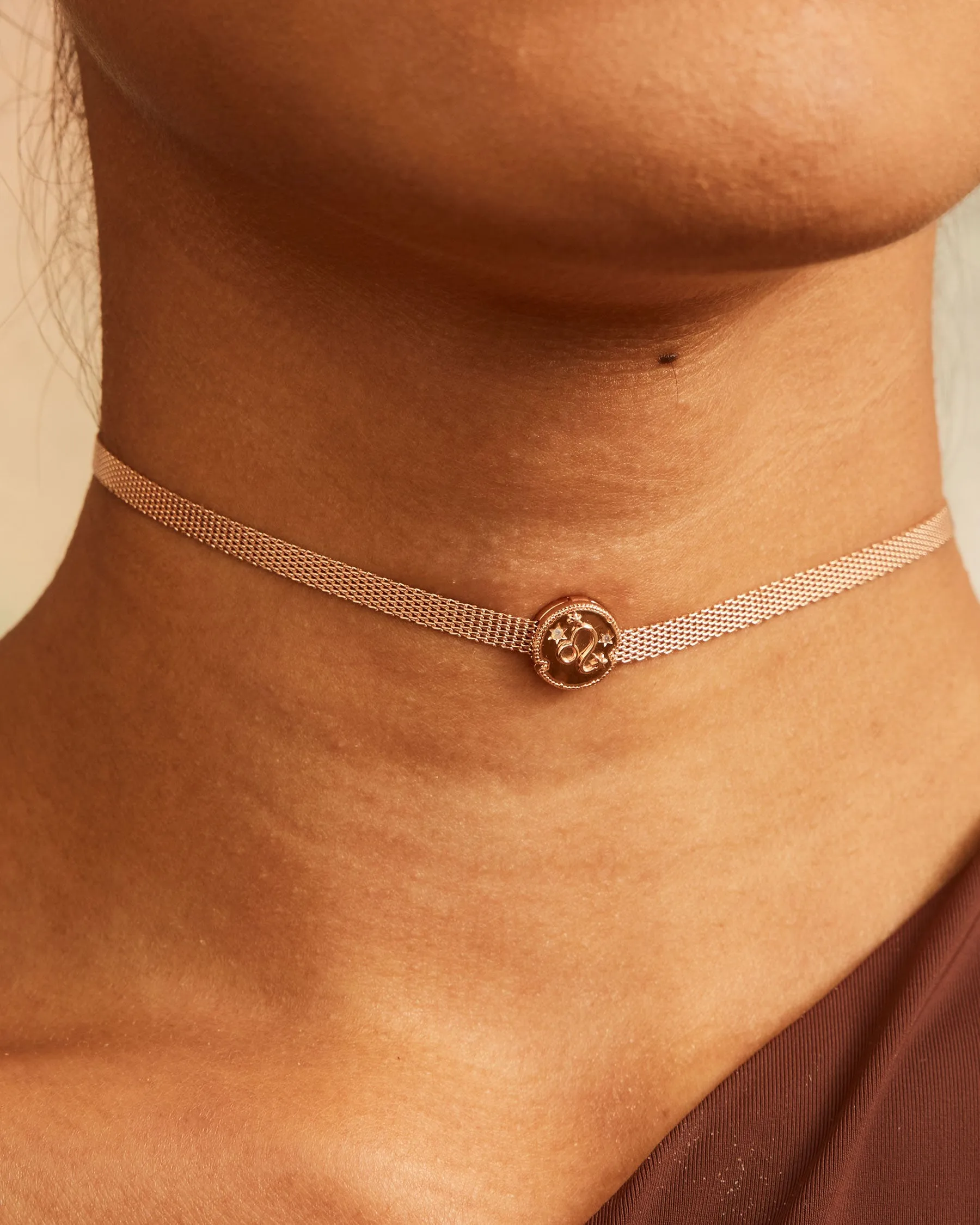 Charm Clip Leo Horoscope | The Gray Box sold by Apodemia product image thumbnail 2