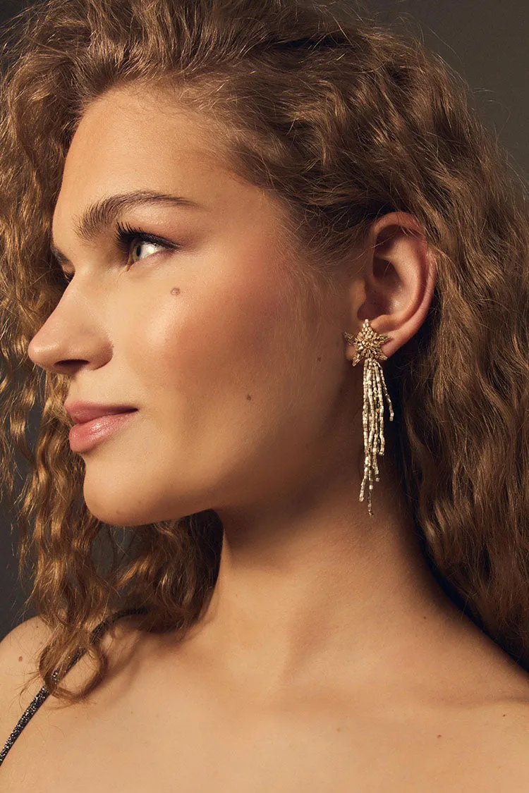 Arizona Long Earrings - LIMITED EDITION sold by Apodemia