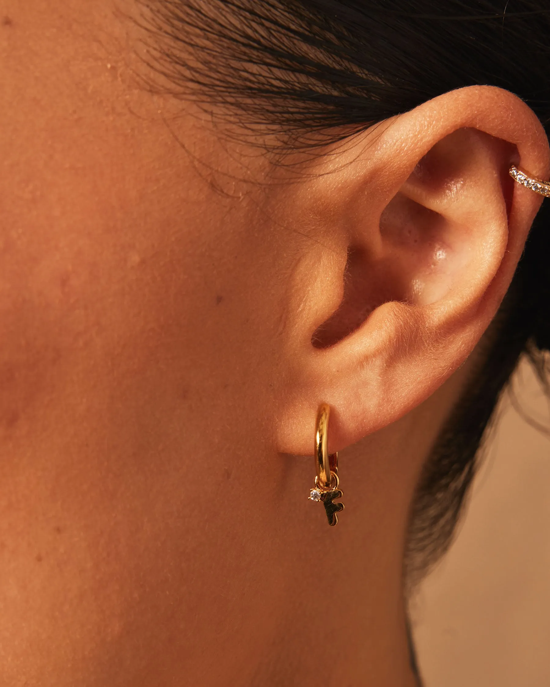 Charm Bright Letters Letter F sold by Apodemia product image thumbnail 5