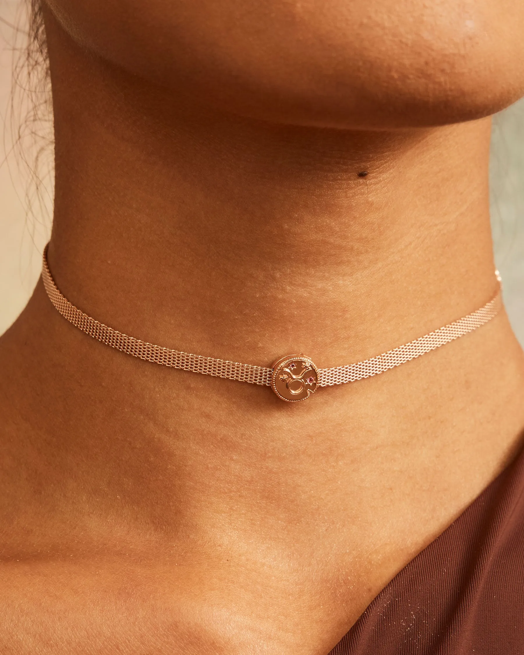 Taurus Horoscope Charm Clip | The Gray Box sold by Apodemia product image thumbnail 2