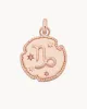 Capricorn Horoscope Charm | The Gray Box sold by Apodemia