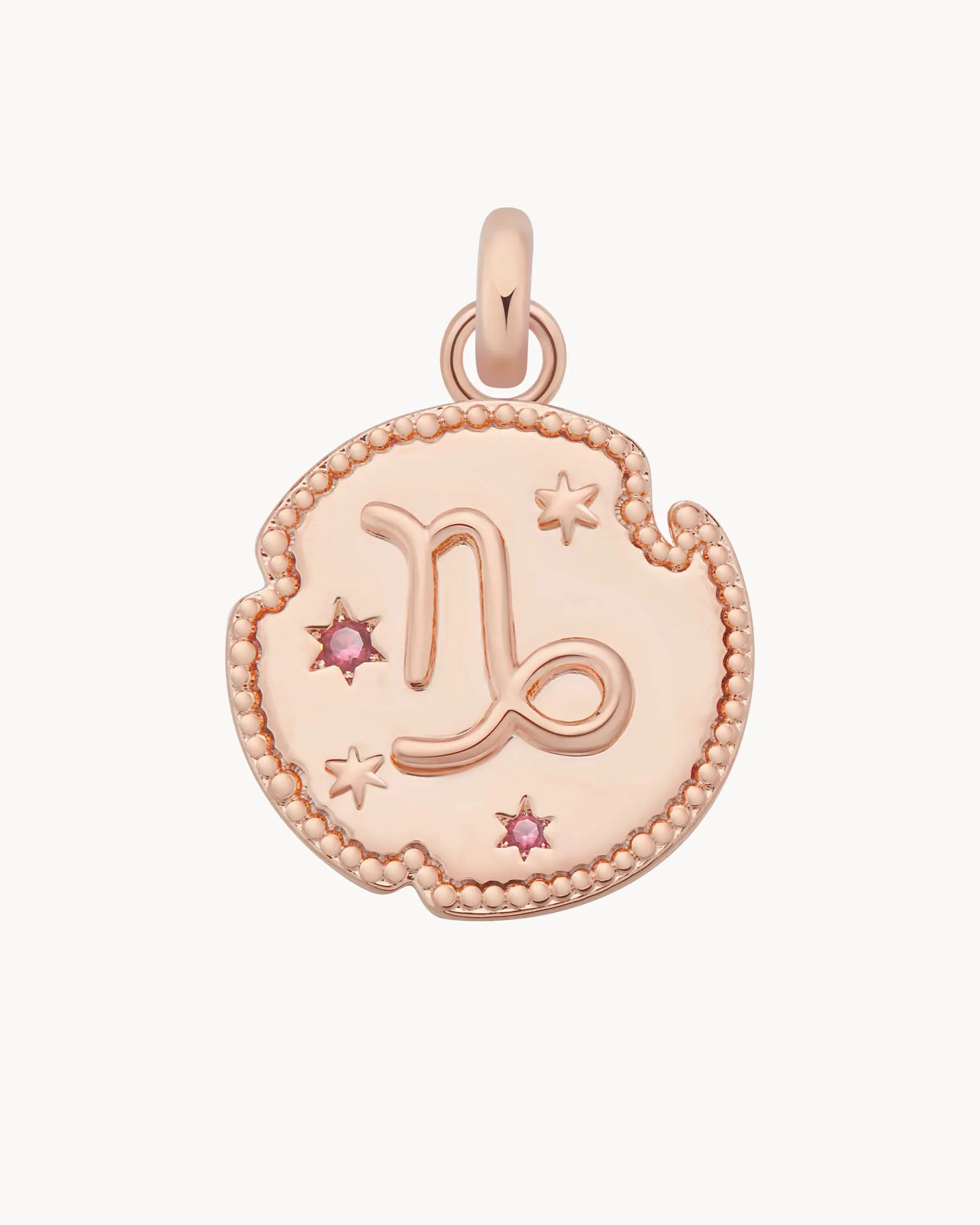 Capricorn Horoscope Charm | The Gray Box sold by Apodemia