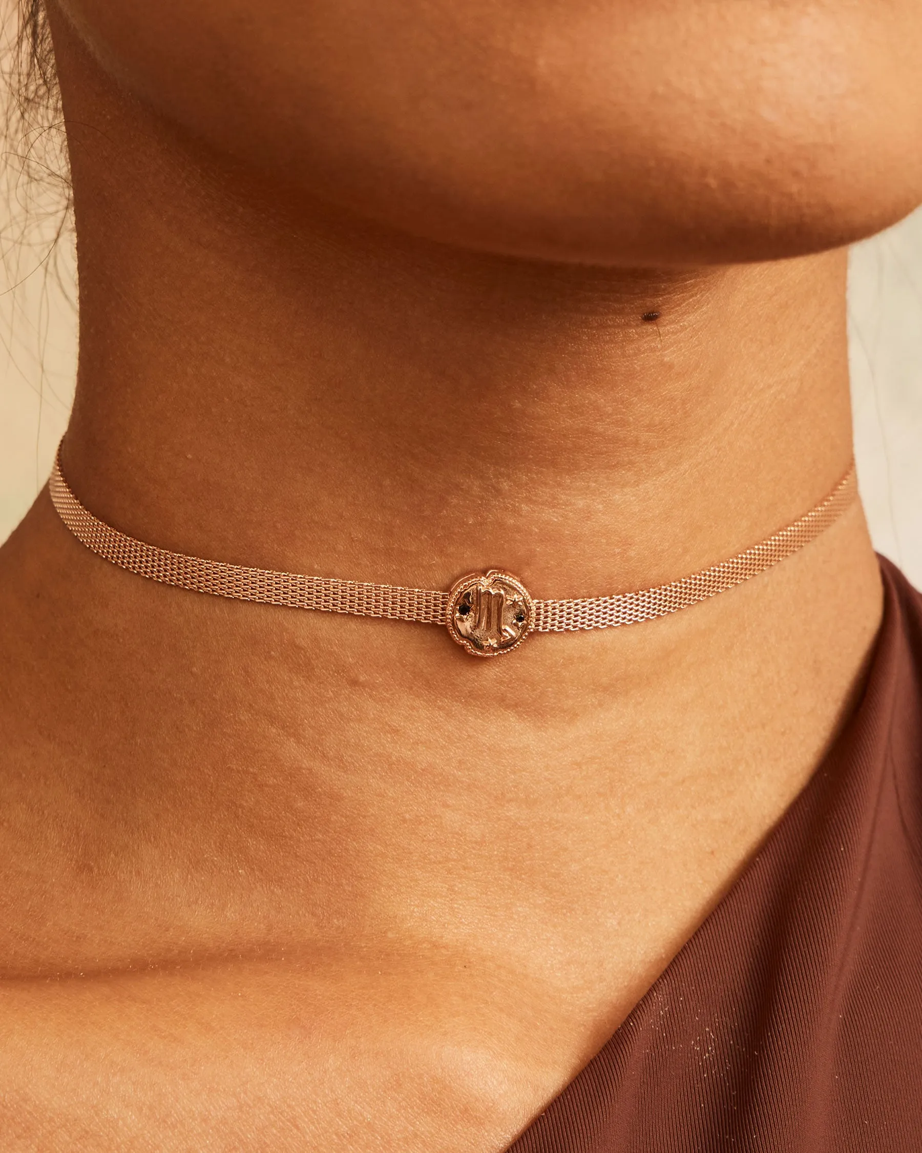 Charm Clip Horoscope Scorpio Horoscope | The Gray Box sold by Apodemia product image thumbnail 2