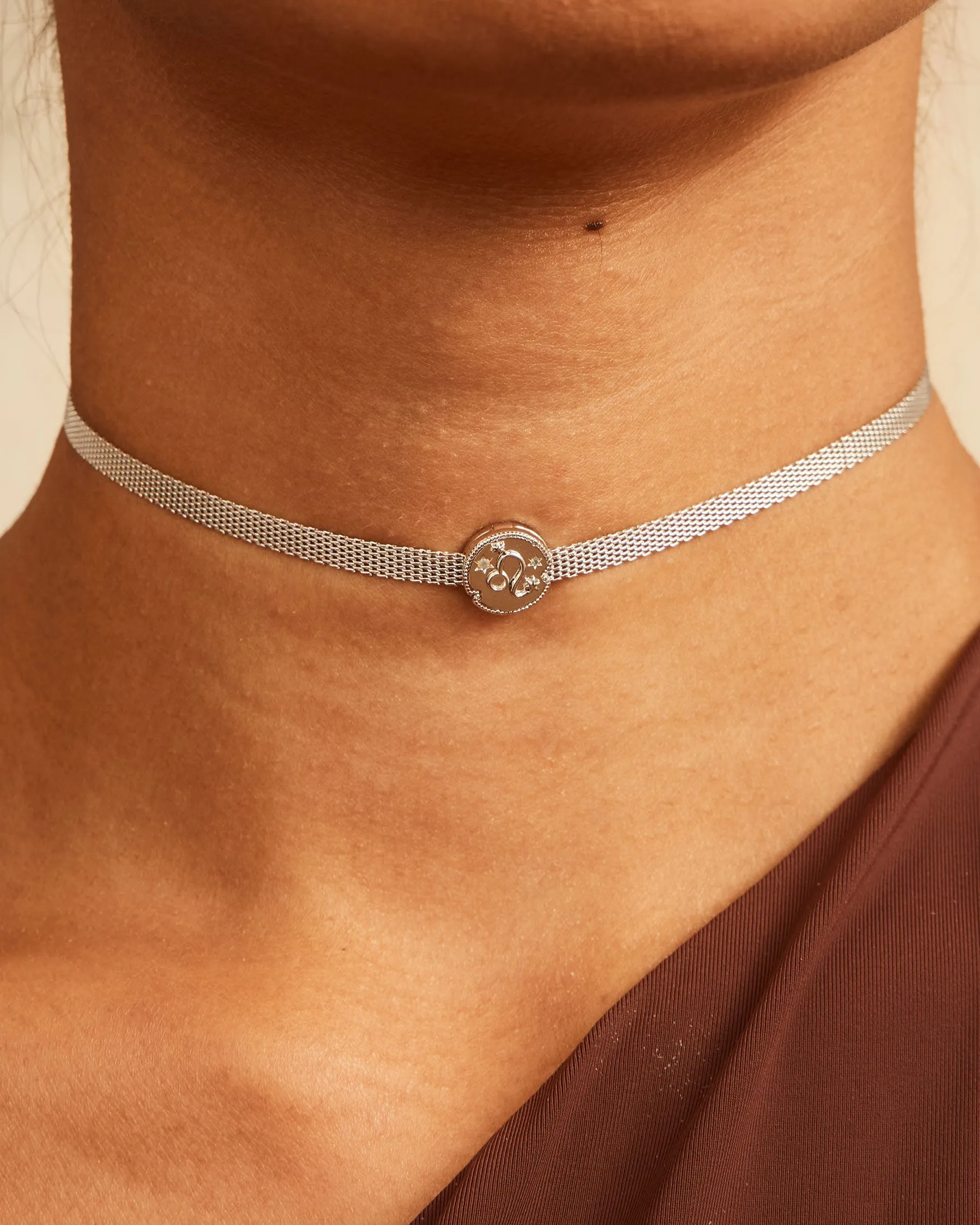 Charm Clip Leo Horoscope | The Gray Box sold by Apodemia product image thumbnail 3