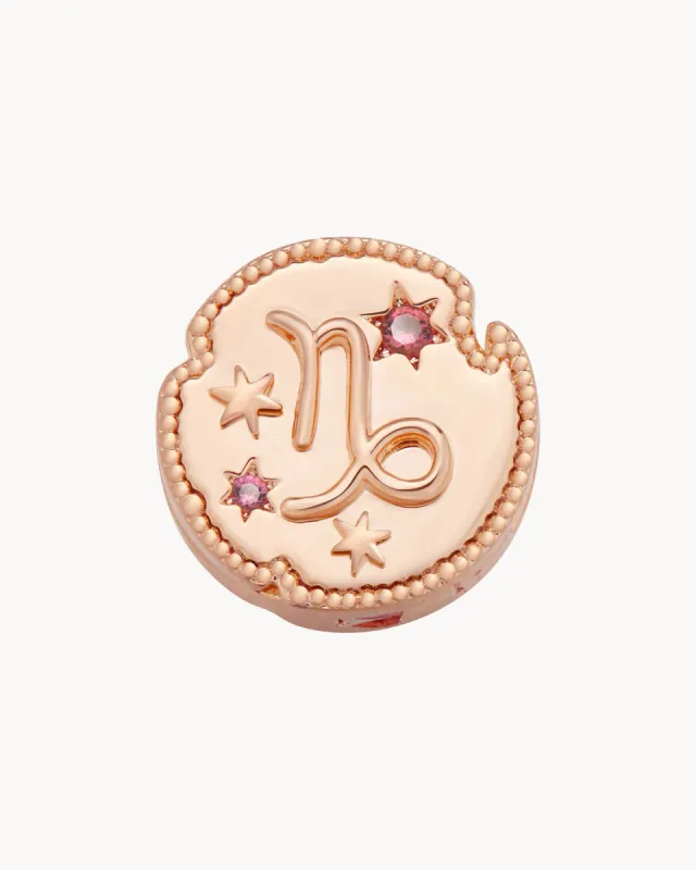 Capricorn Horoscope Charm Clip | The Gray Box sold by Apodemia