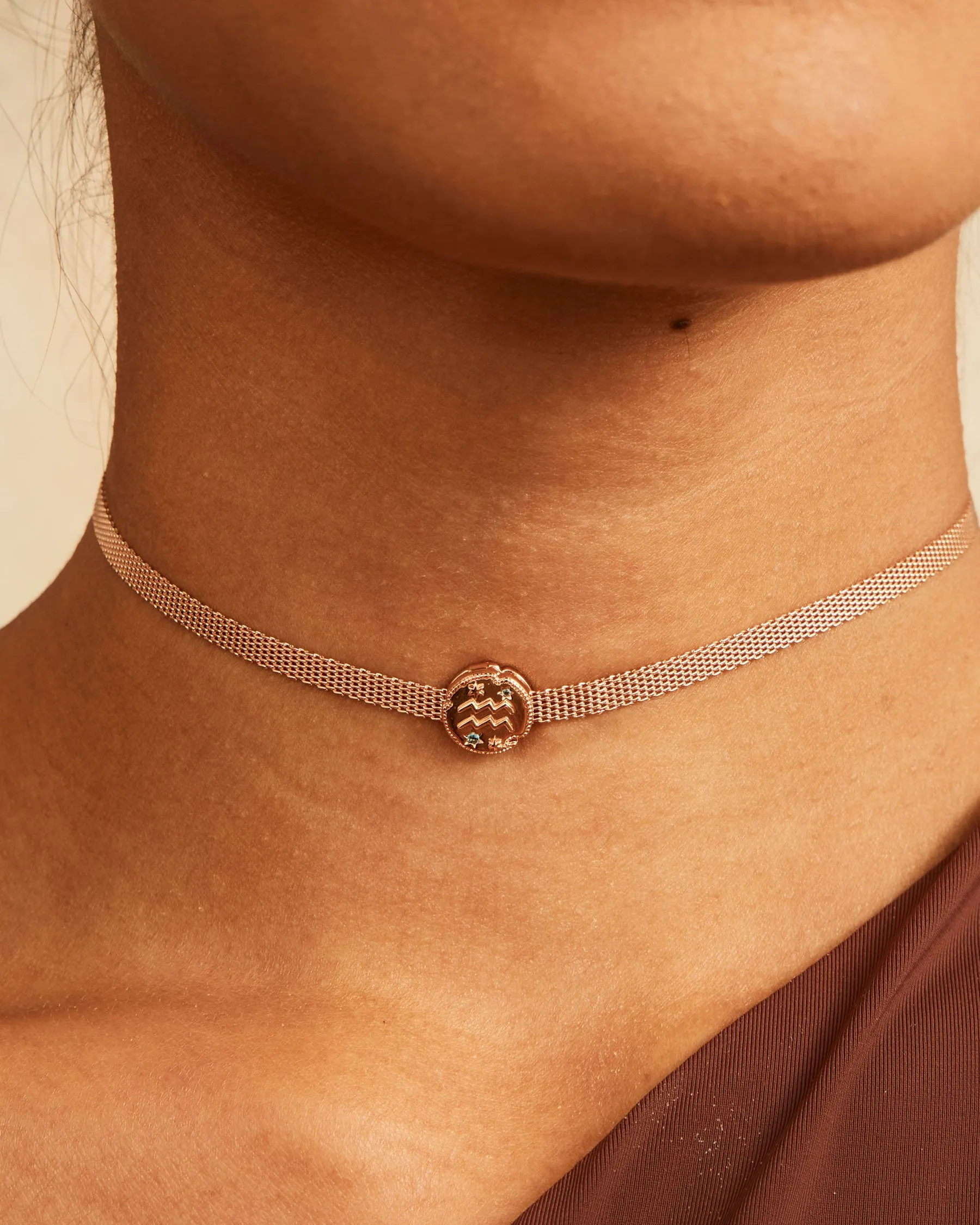 Charm Clip Aquarius Horoscope | The Gray Box sold by Apodemia product image thumbnail 2