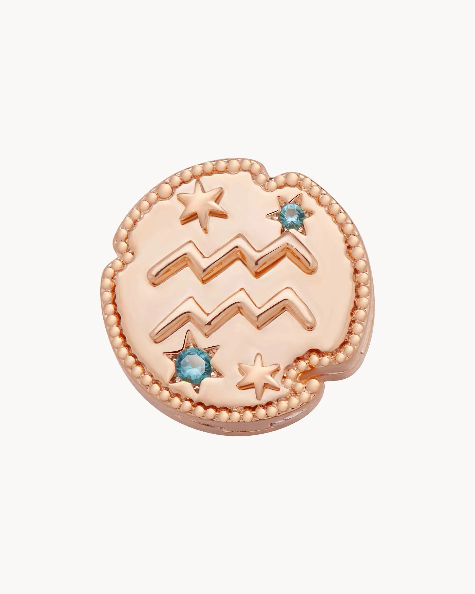 Charm Clip Aquarius Horoscope | The Gray Box sold by Apodemia
