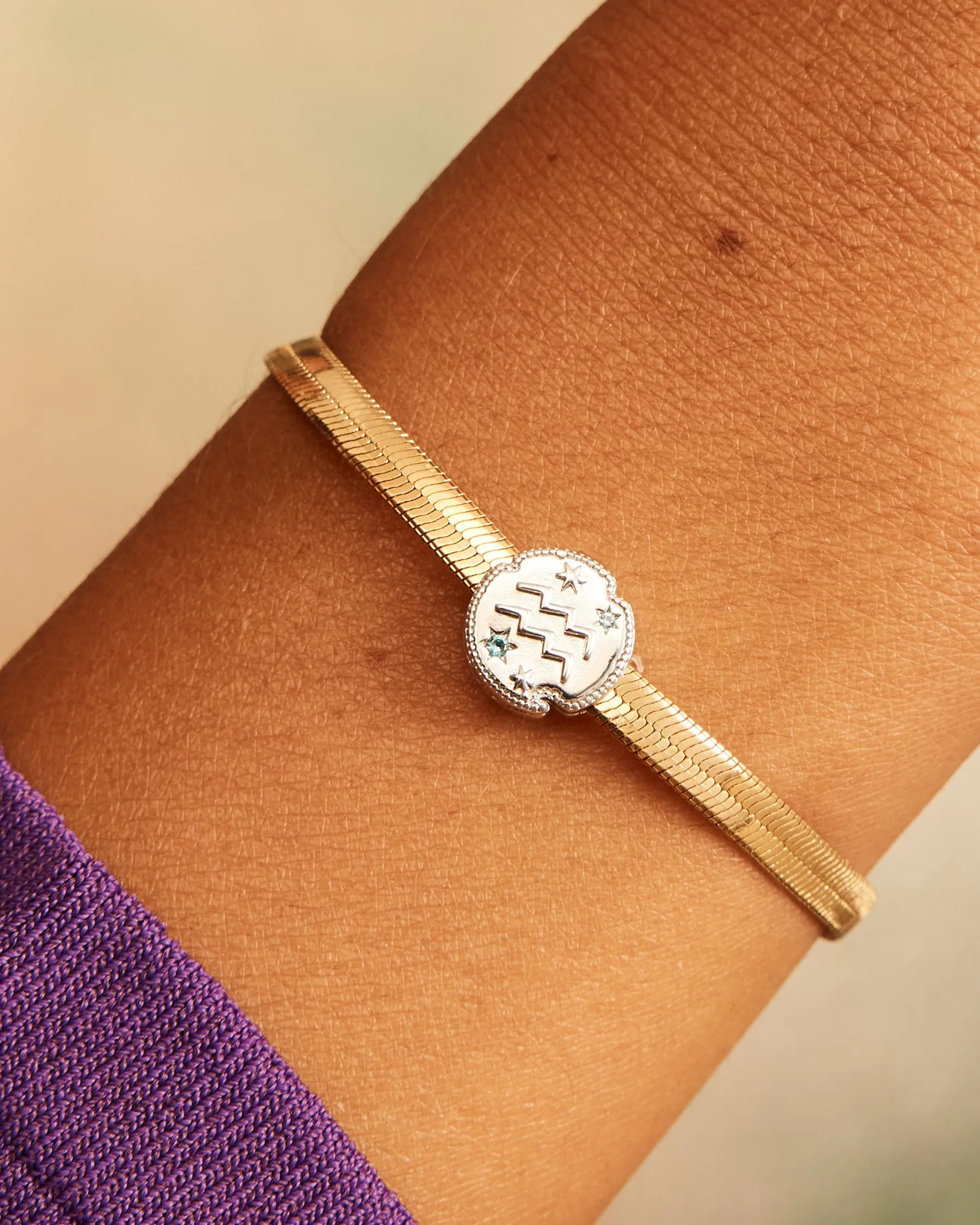 Charm Clip Aquarius Horoscope | The Gray Box sold by Apodemia product image thumbnail 2