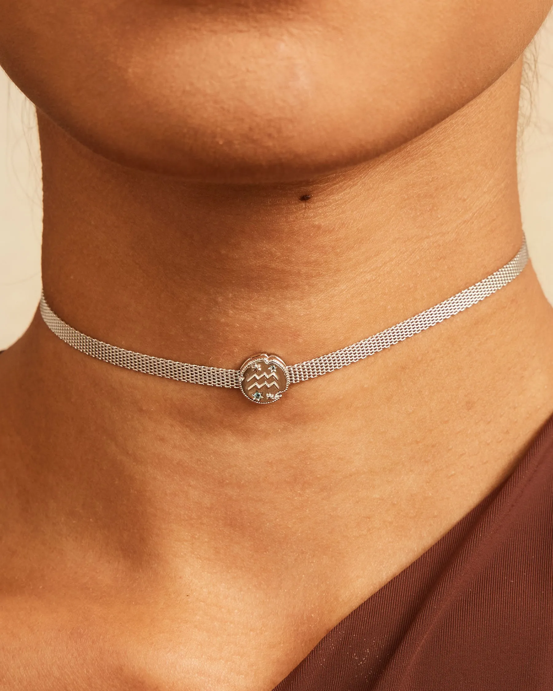 Charm Clip Aquarius Horoscope | The Gray Box sold by Apodemia product image thumbnail 4